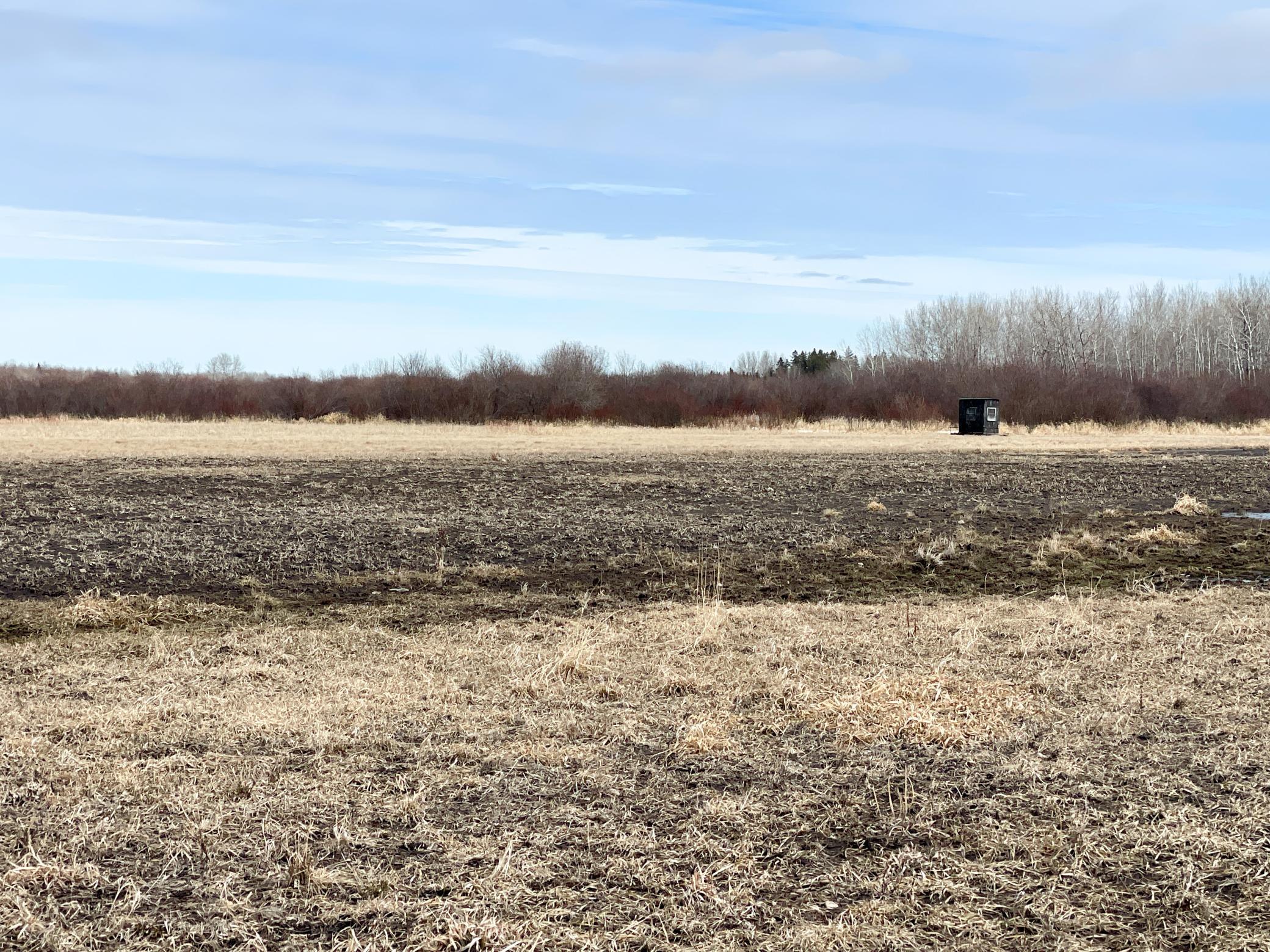 land for sale at 3228 County Road 1 SW in Baudette, MN (photo 44 of 67)