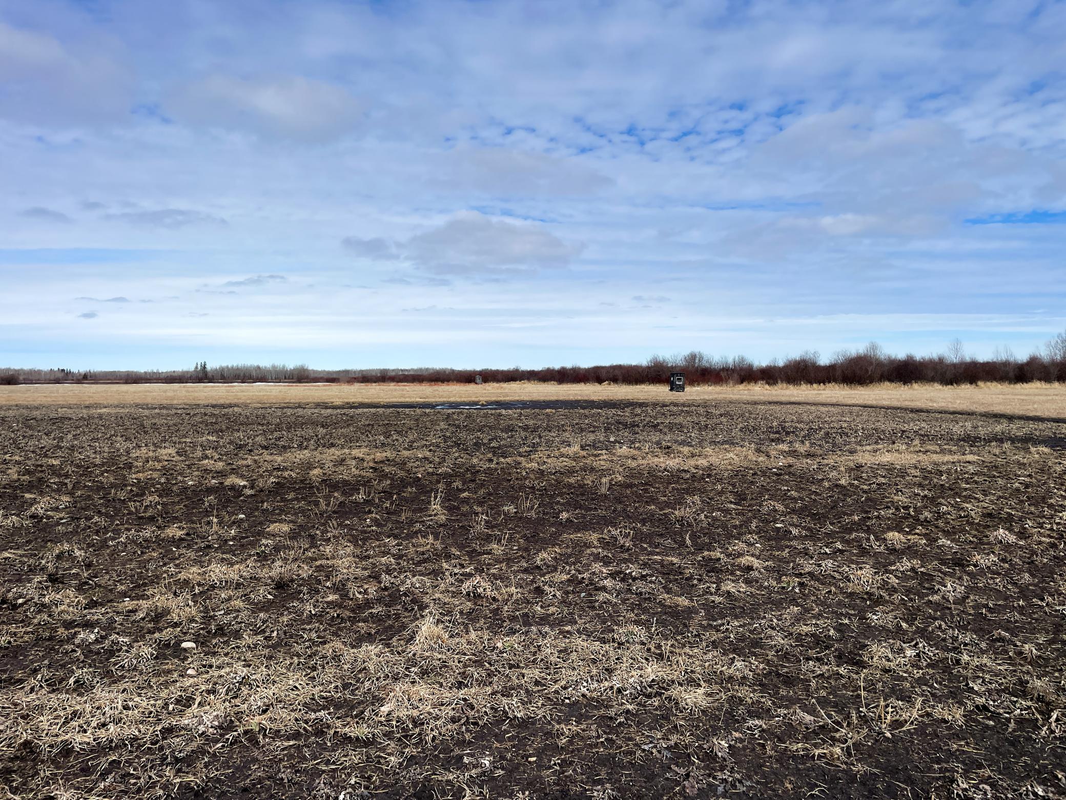 land for sale at 3228 County Road 1 SW in Baudette, MN (photo 45 of 67)