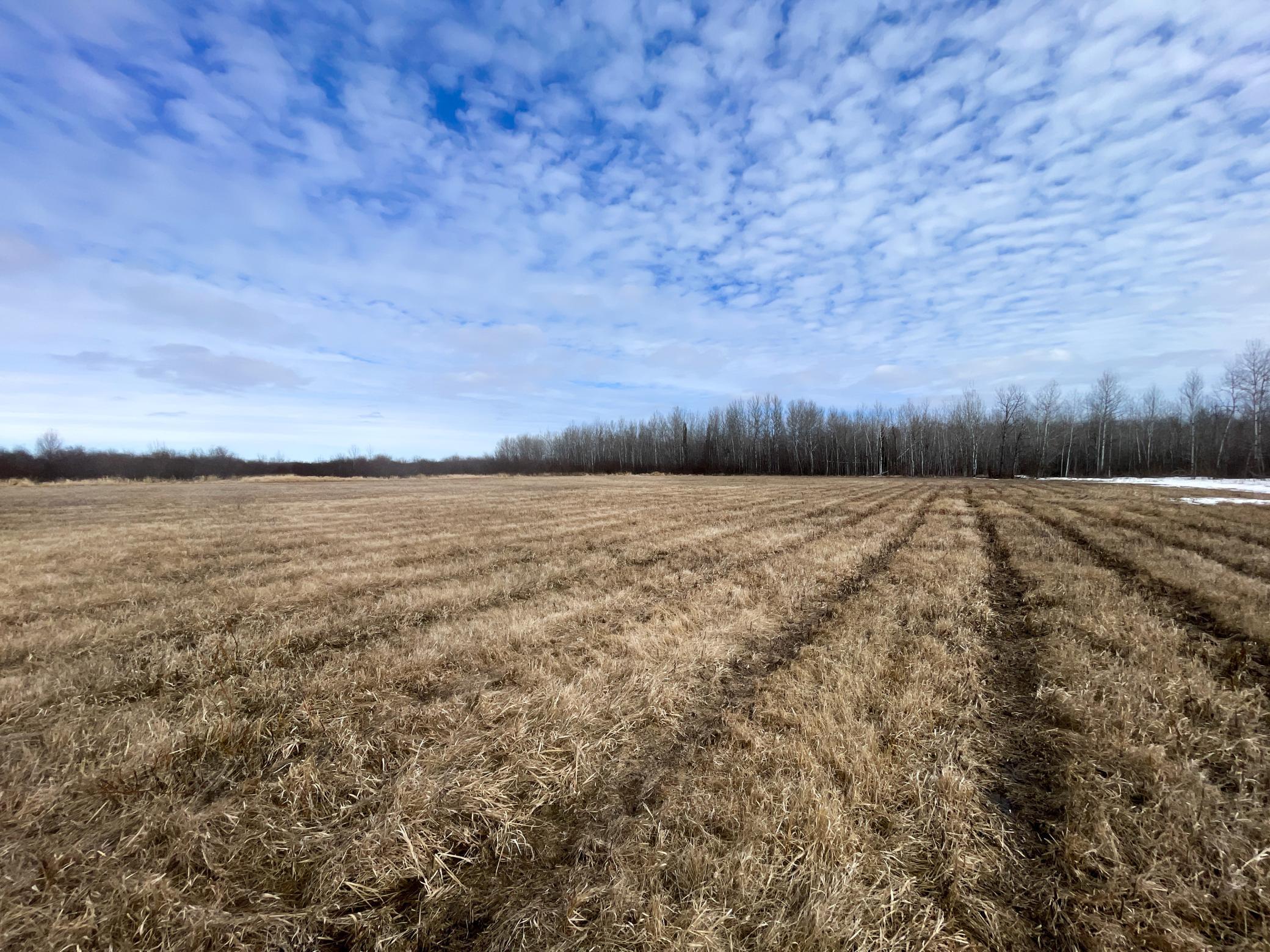 land for sale at 3228 County Road 1 SW in Baudette, MN (photo 46 of 67)