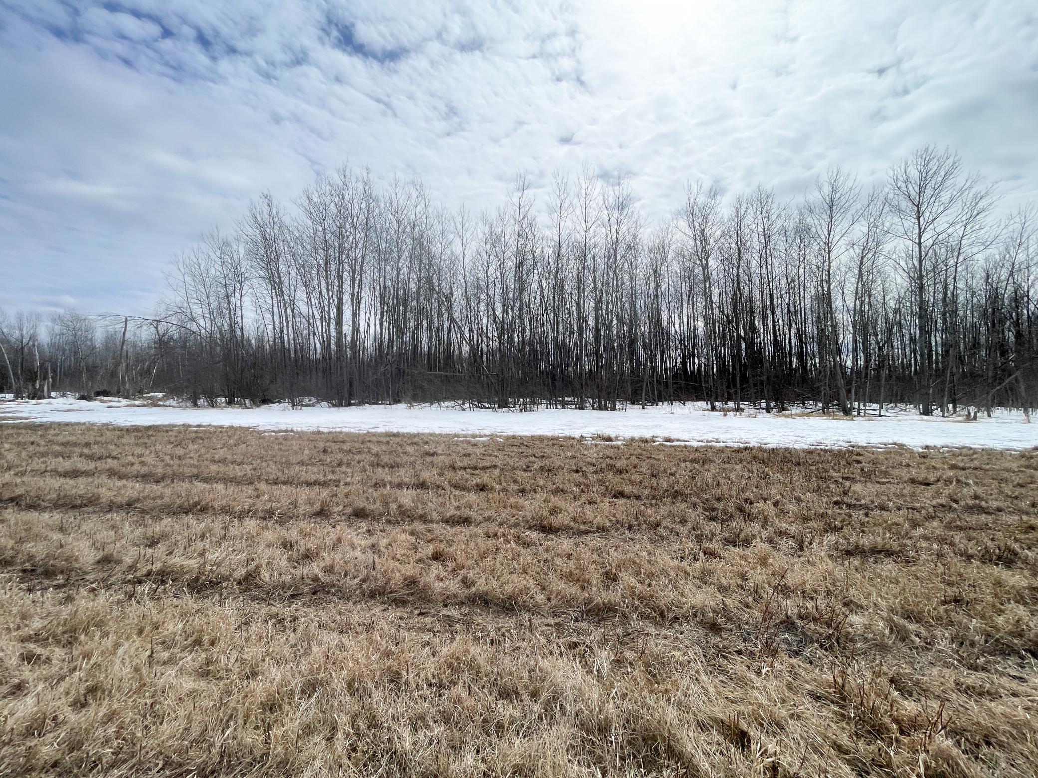 land for sale at 3228 County Road 1 SW in Baudette, MN (photo 47 of 67)