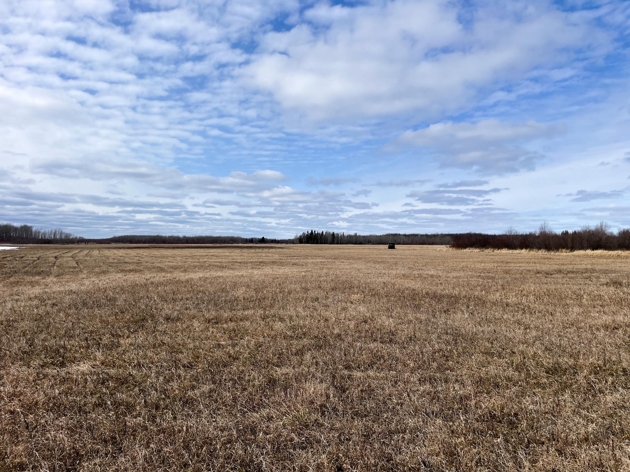 land for sale at 3228 County Road 1 SW in Baudette, MN (photo 49 of 67)
