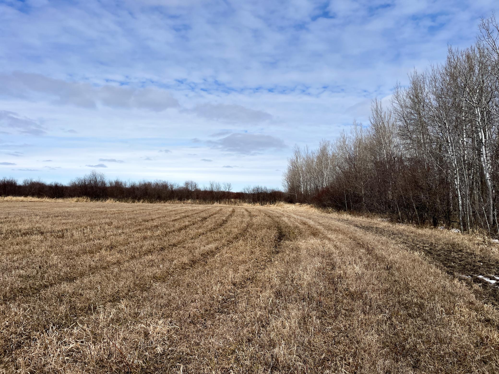 land for sale at 3228 County Road 1 SW in Baudette, MN (photo 50 of 67)