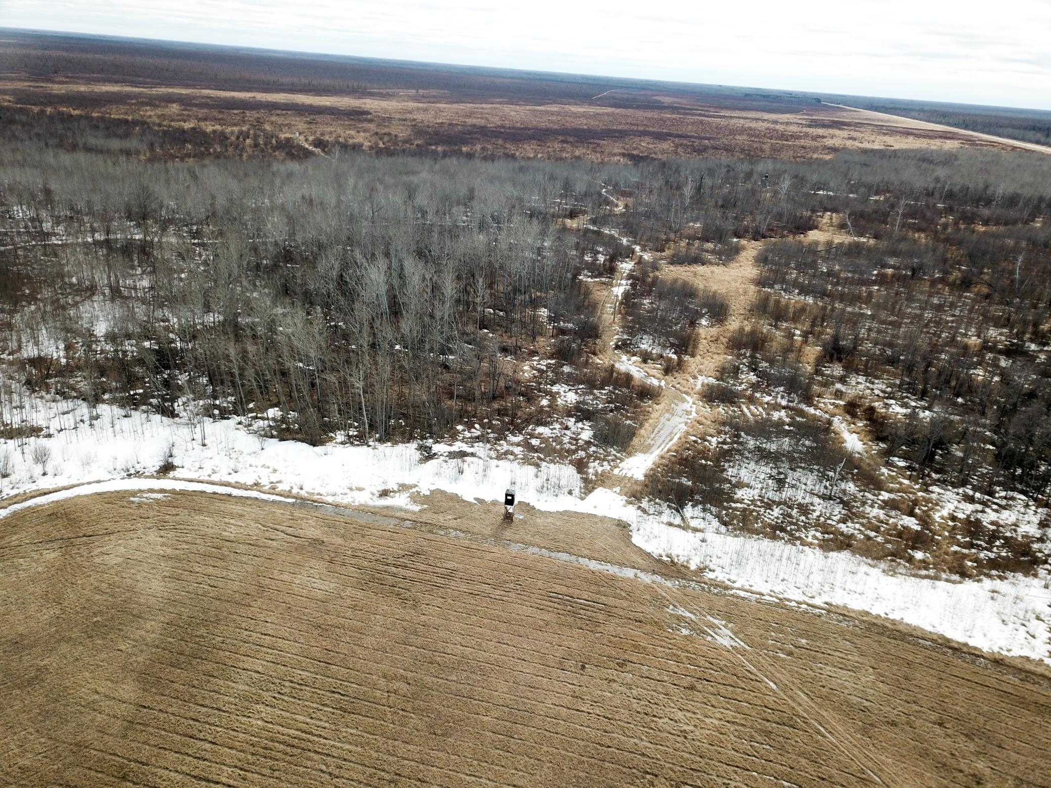 land for sale at 3228 County Road 1 SW in Baudette, MN (photo 6 of 67)