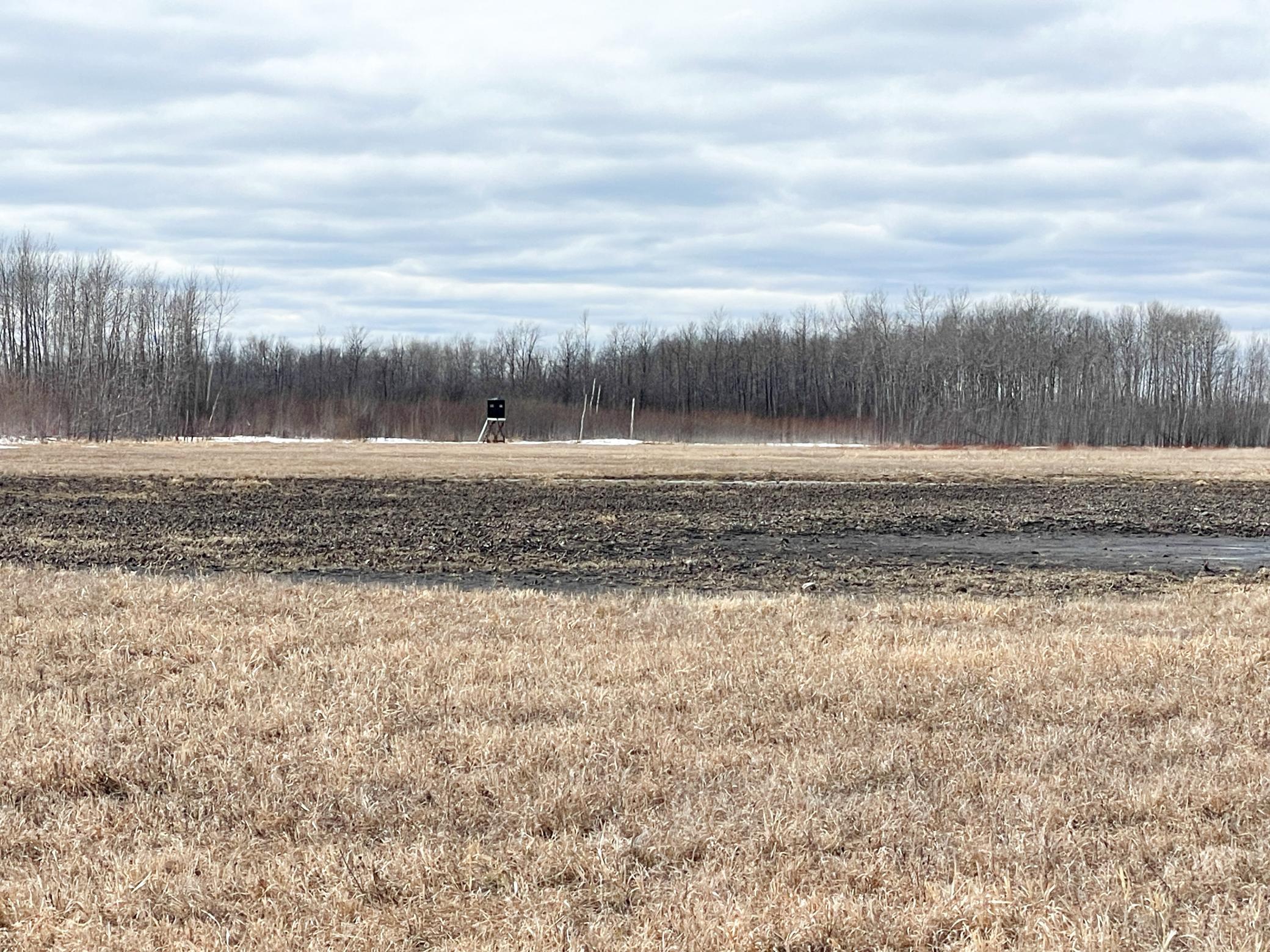 land for sale at 3228 County Road 1 SW in Baudette, MN (photo 51 of 67)