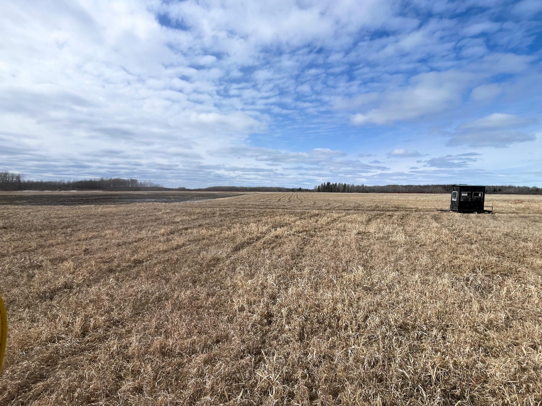 land for sale at 3228 County Road 1 SW in Baudette, MN (photo 52 of 67)