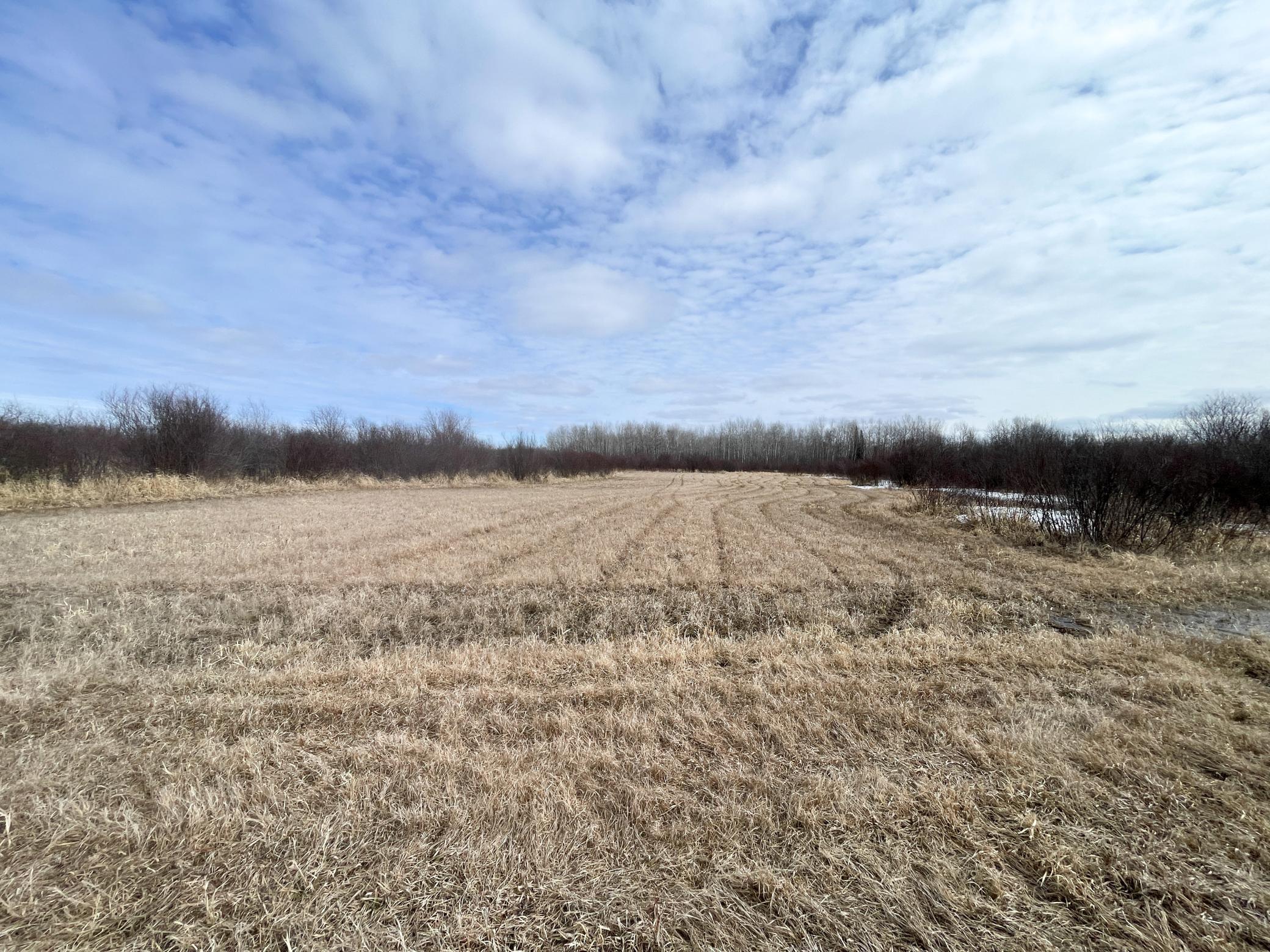 land for sale at 3228 County Road 1 SW in Baudette, MN (photo 53 of 67)