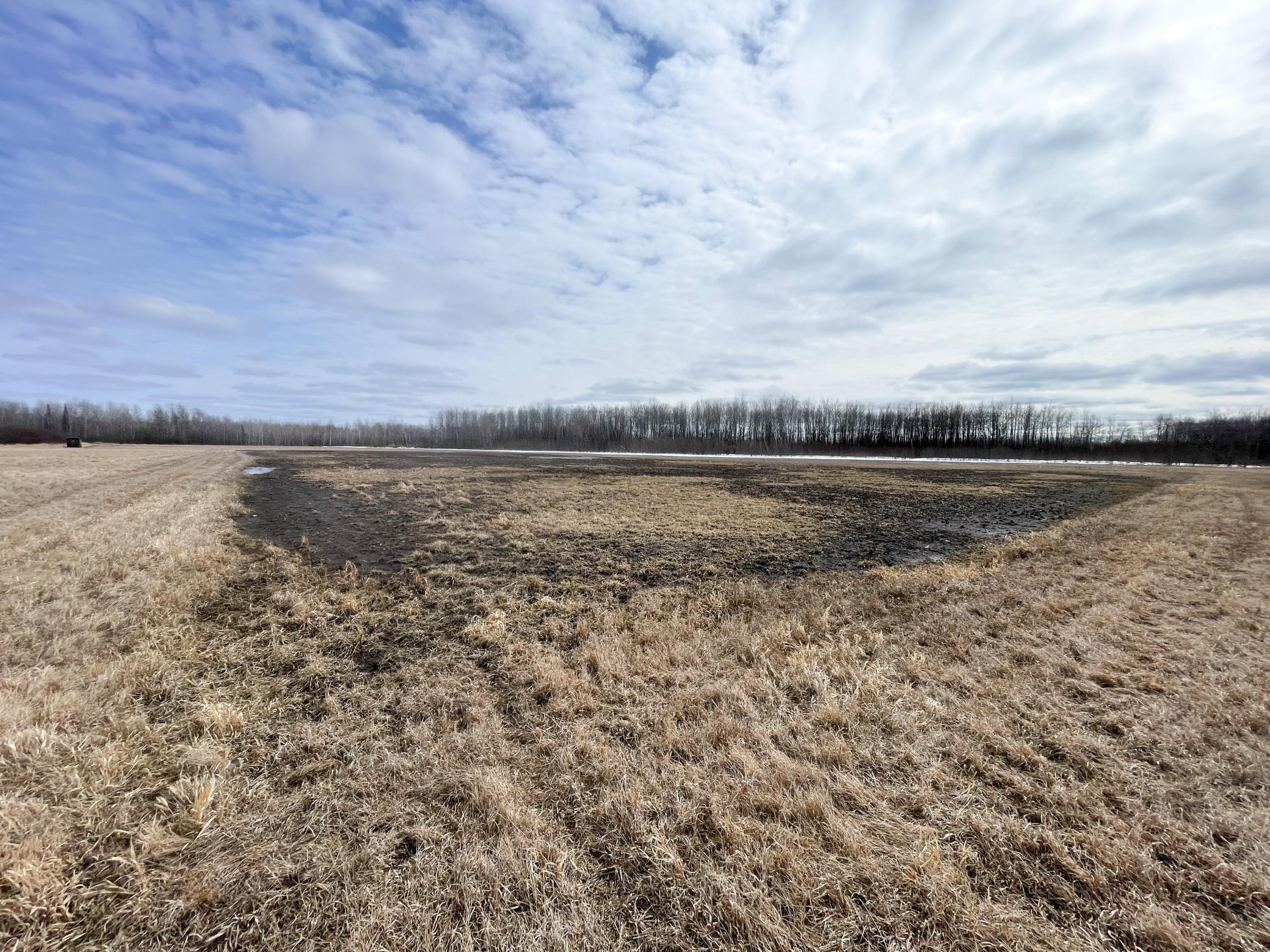 land for sale at 3228 County Road 1 SW in Baudette, MN (photo 56 of 67)