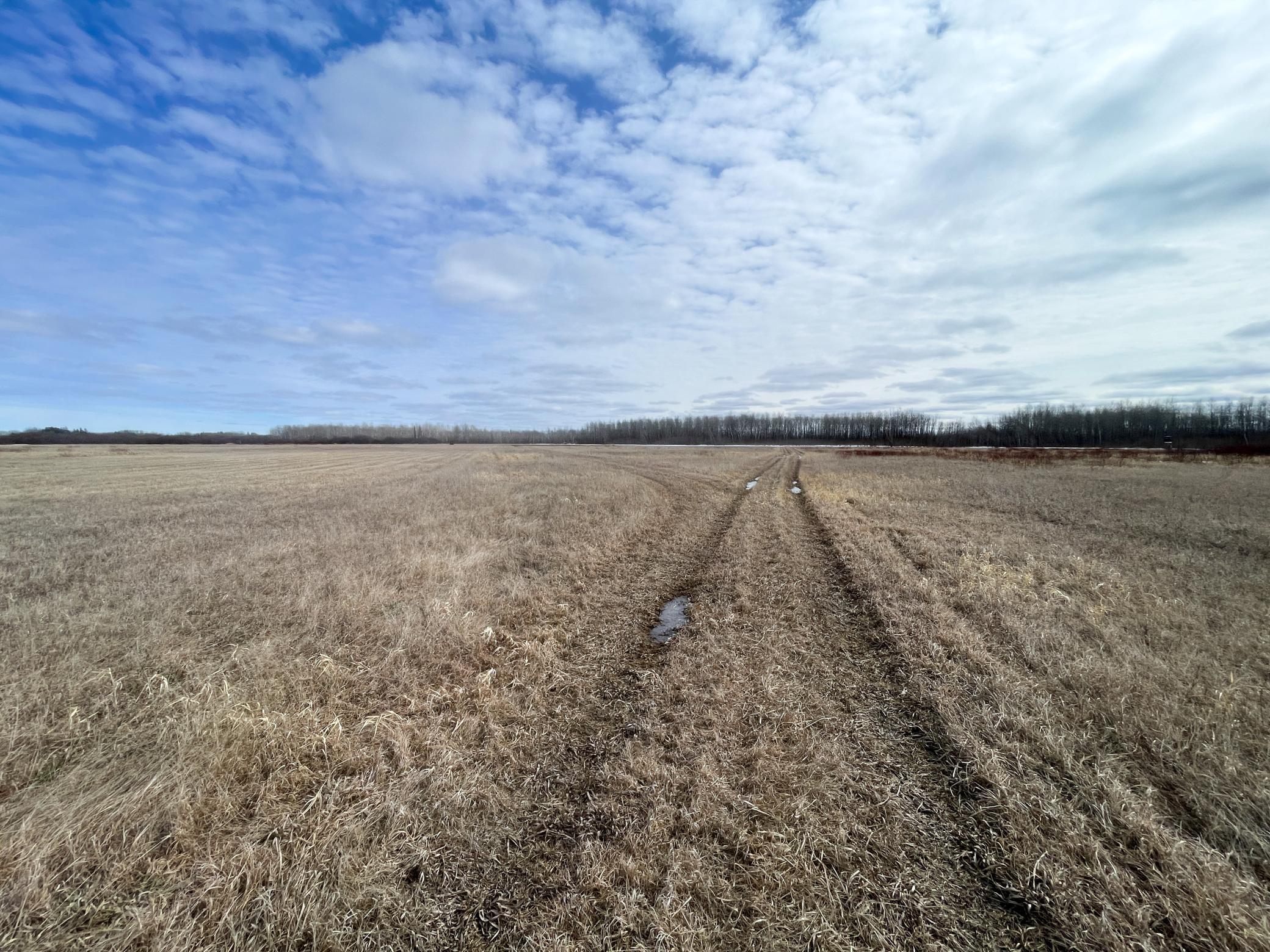 land for sale at 3228 County Road 1 SW in Baudette, MN (photo 57 of 67)