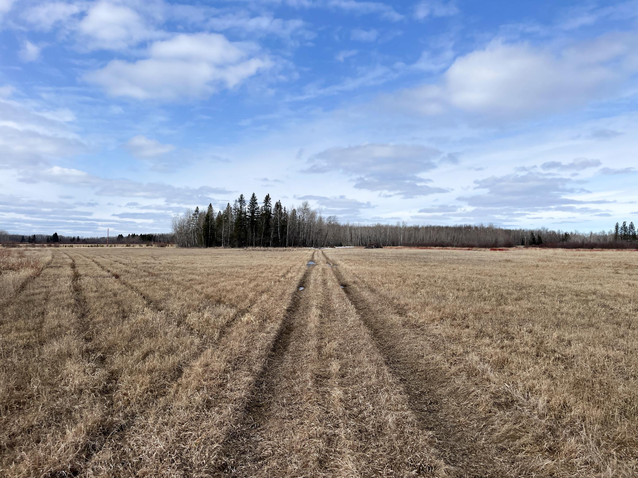 land for sale at 3228 County Road 1 SW in Baudette, MN (photo 58 of 67)