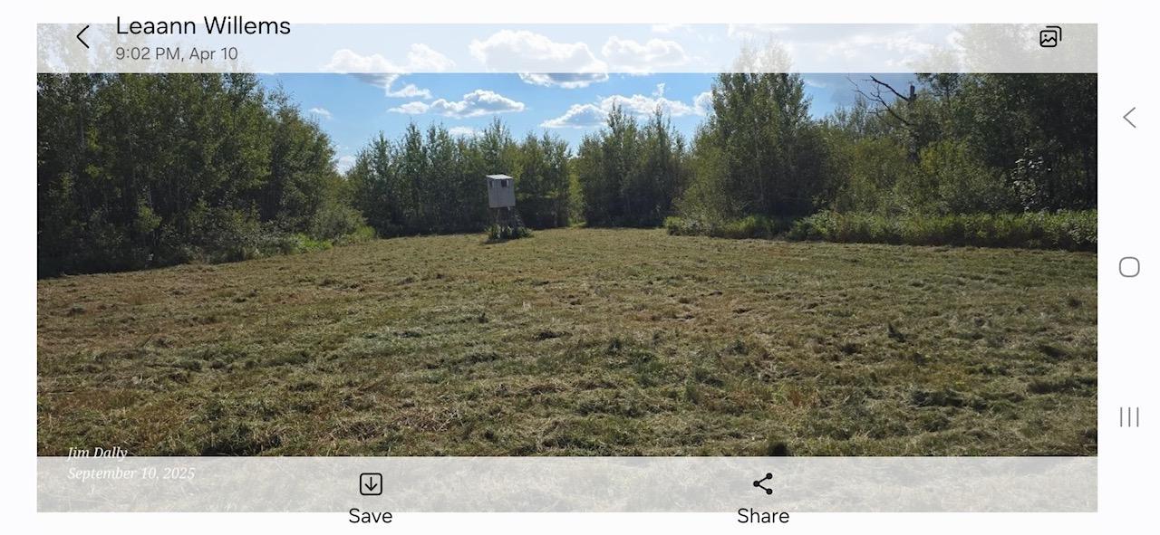 land for sale at 3228 County Road 1 SW in Baudette, MN (photo 62 of 67)