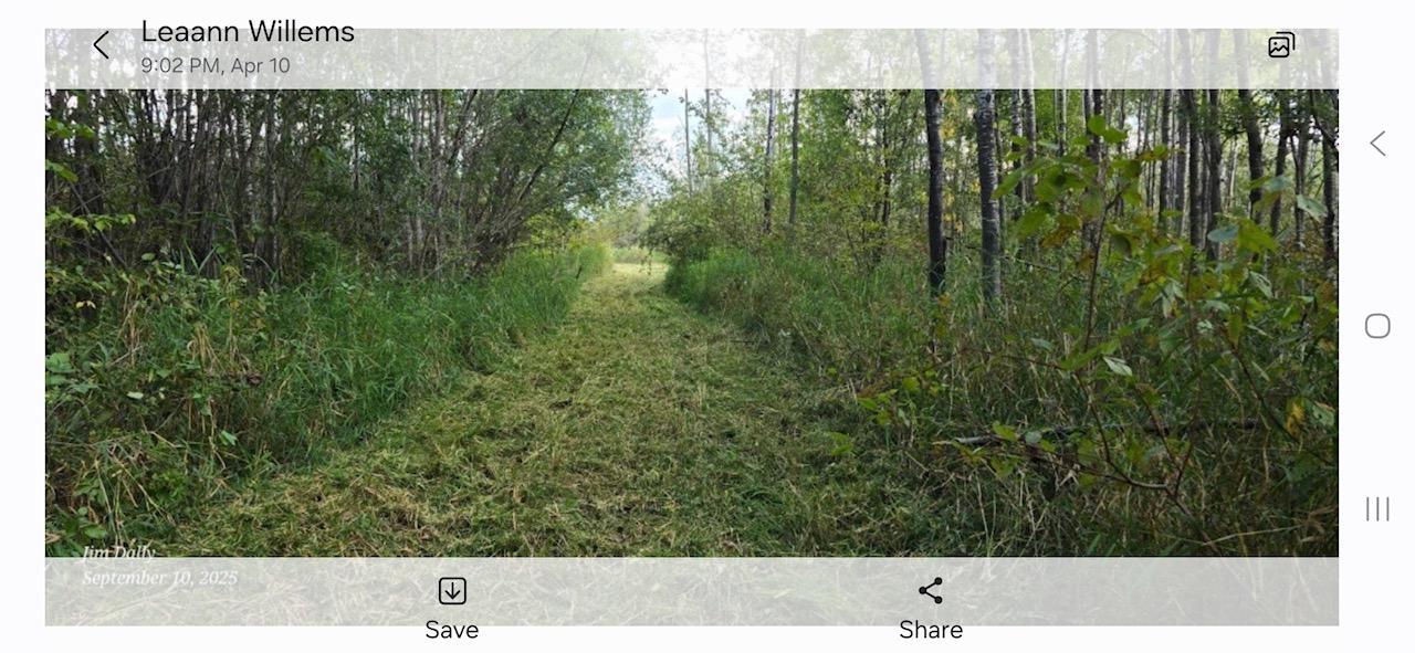 land for sale at 3228 County Road 1 SW in Baudette, MN (photo 64 of 67)