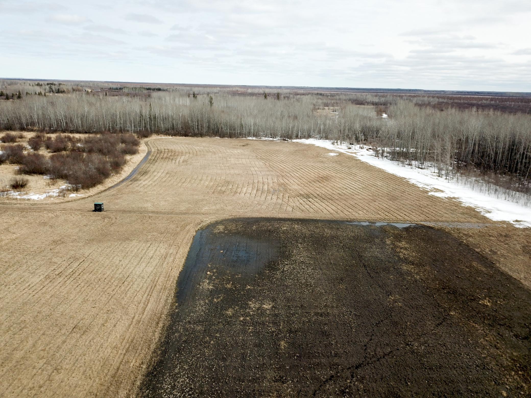 land for sale at 3228 County Road 1 SW in Baudette, MN (photo 9 of 67)