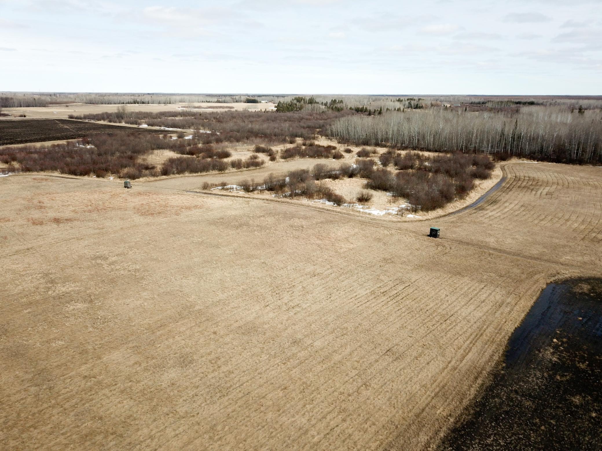 land for sale at 3228 County Road 1 SW in Baudette, MN (photo 10 of 67)