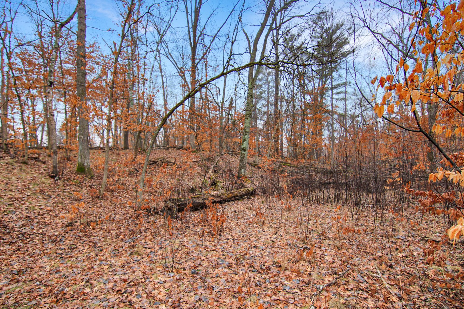TBD Lots 200 & 201 Lynx Drive, Breezy Point MN 56472 - Photo 4 of 8