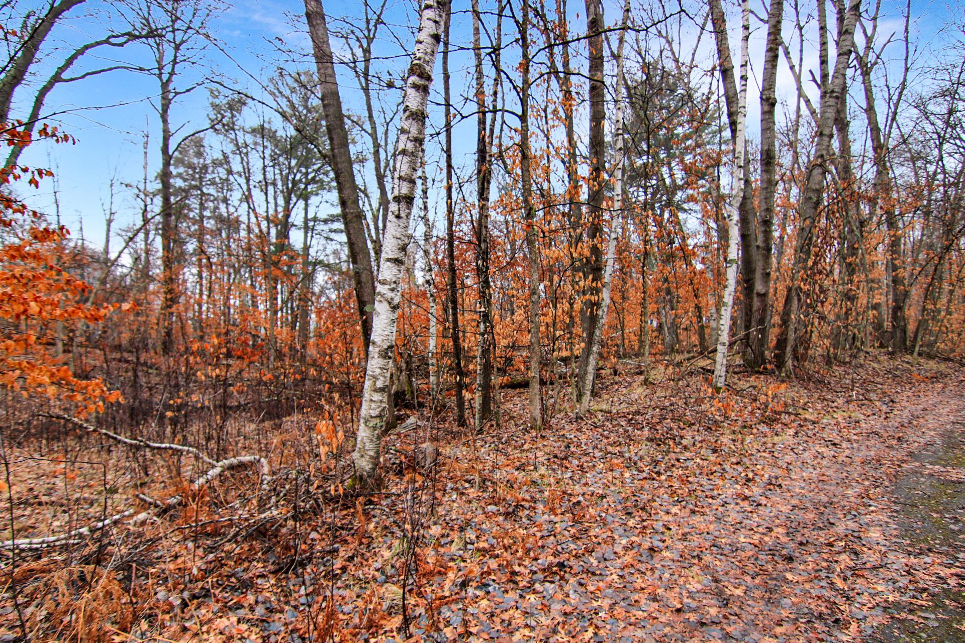 TBD Lots 200 & 201 Lynx Drive, Breezy Point MN 56472 - Photo 5 of 8