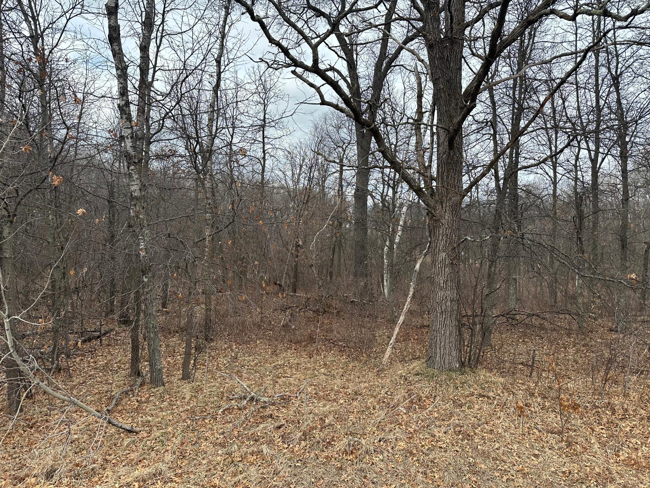 Lot 25 County Rd 11, Breezy Point MN 56472 - Photo 2 of 10