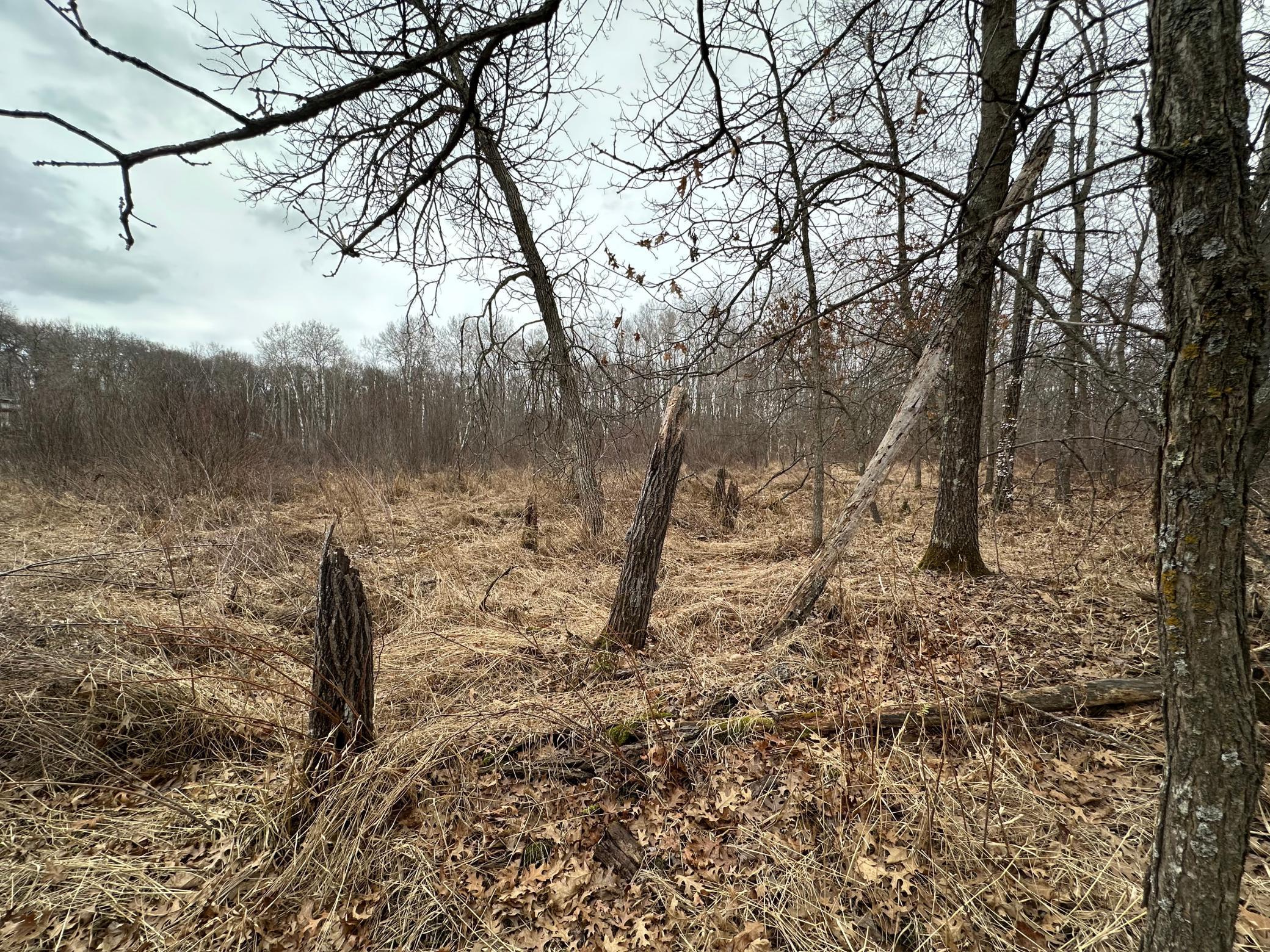 Lot 25 County Rd 11, Breezy Point MN 56472 - Photo 4 of 10