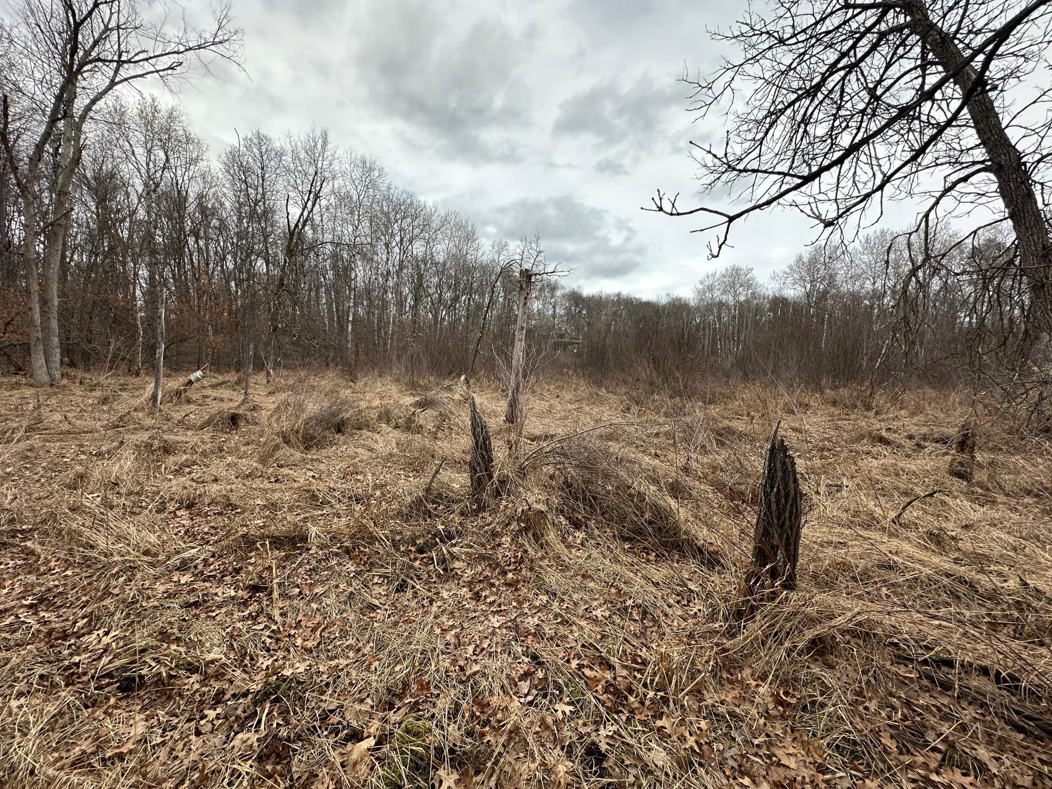 Lot 25 County Rd 11, Breezy Point MN 56472 - Photo 5 of 10