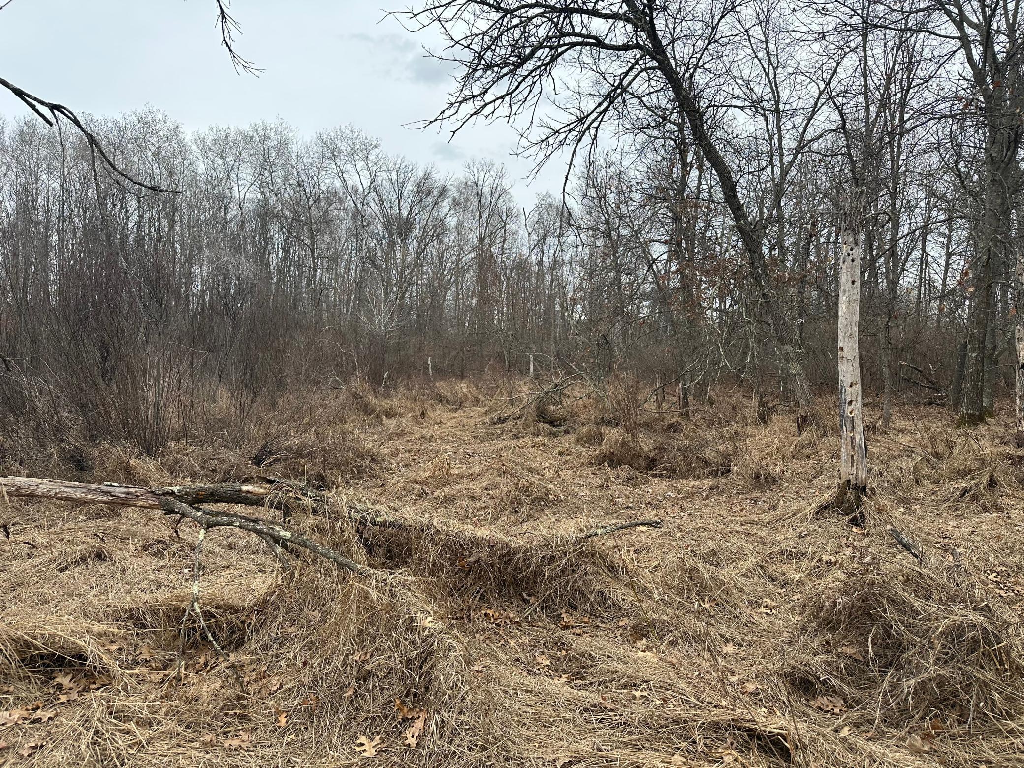 Lot 25 County Rd 11, Breezy Point MN 56472 - Photo 6 of 10