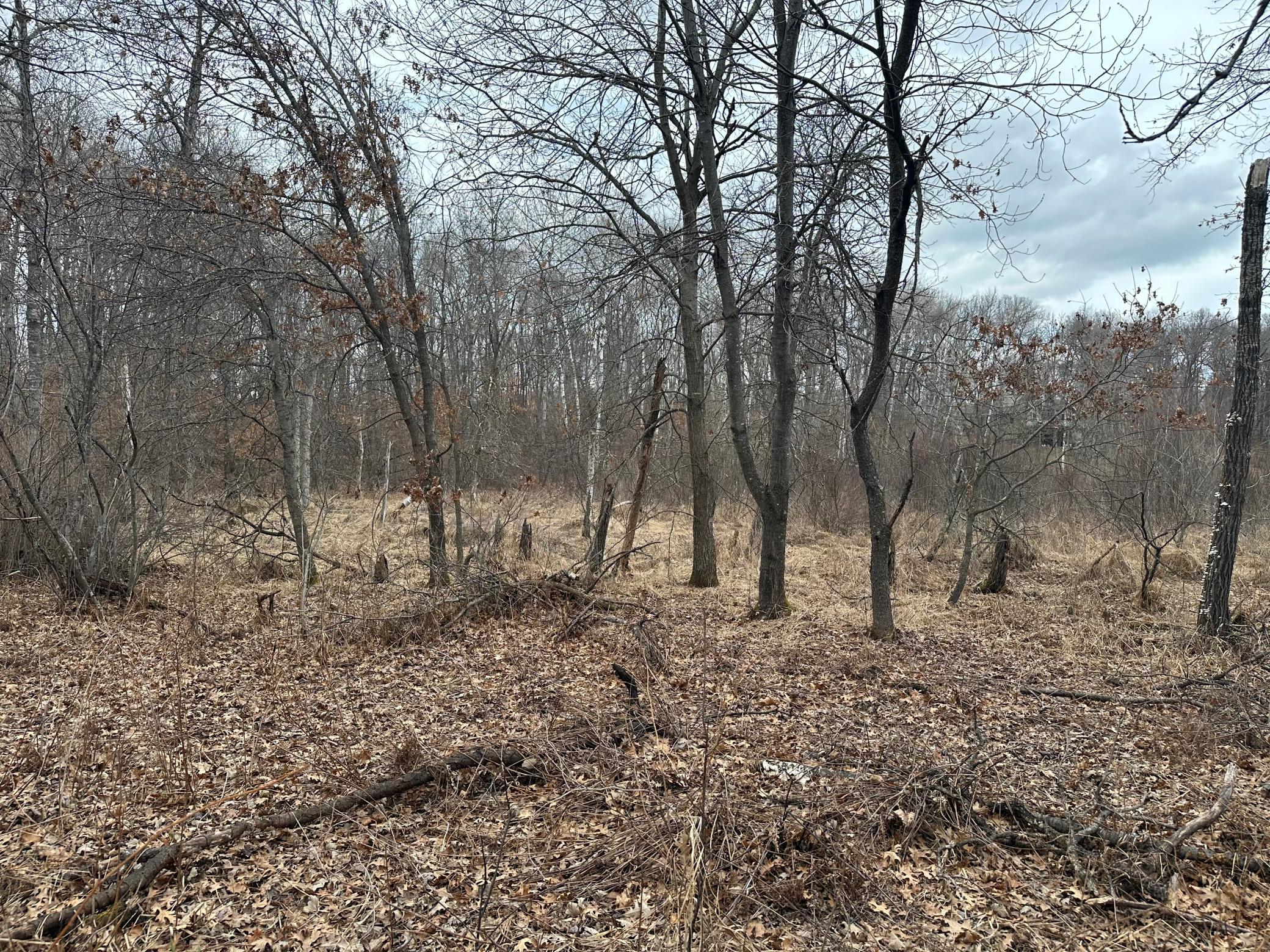 Lot 25 County Rd 11, Breezy Point MN 56472 - Photo 8 of 10