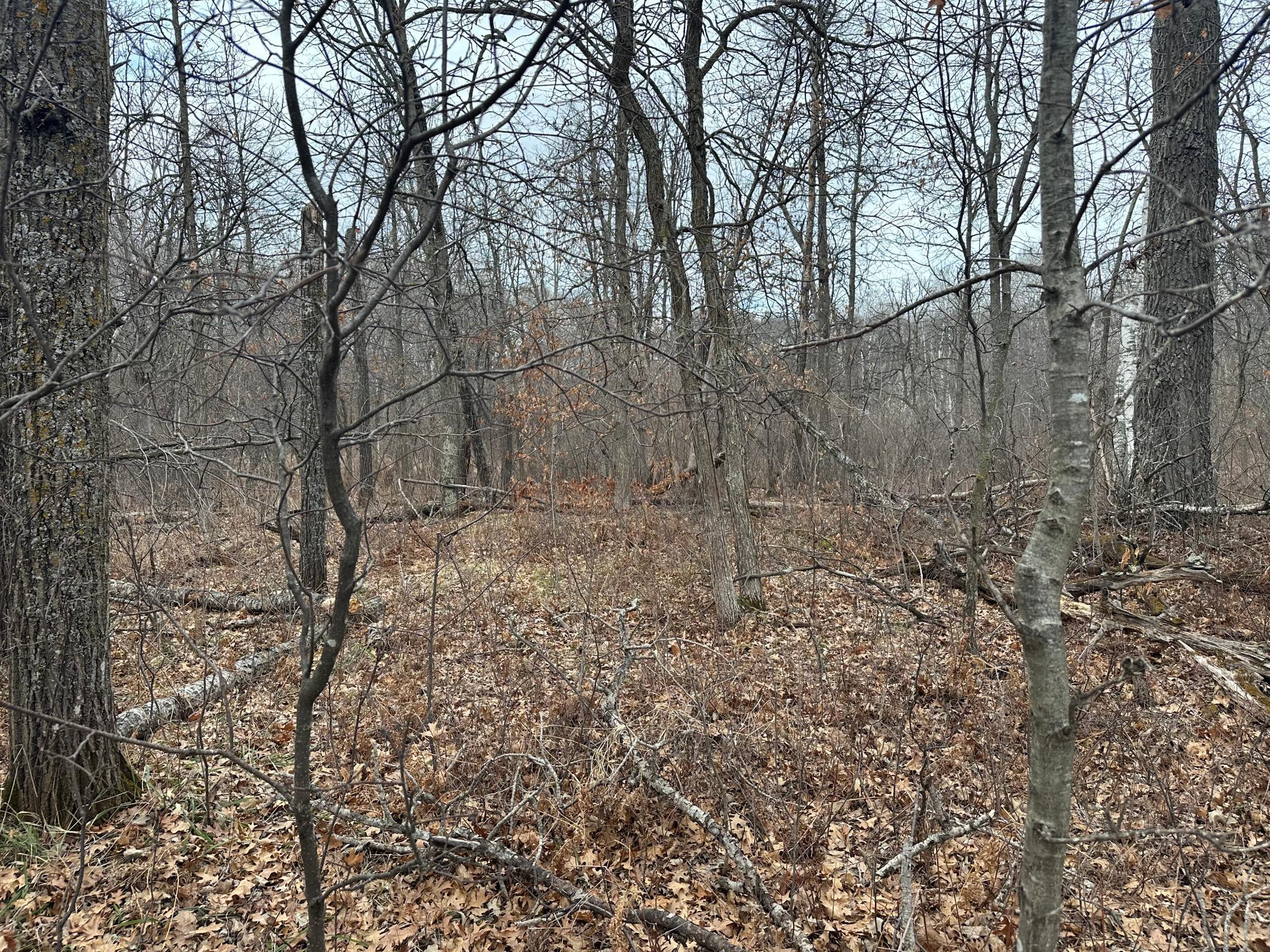 Lot 25 County Rd 11, Breezy Point MN 56472 - Photo 9 of 10