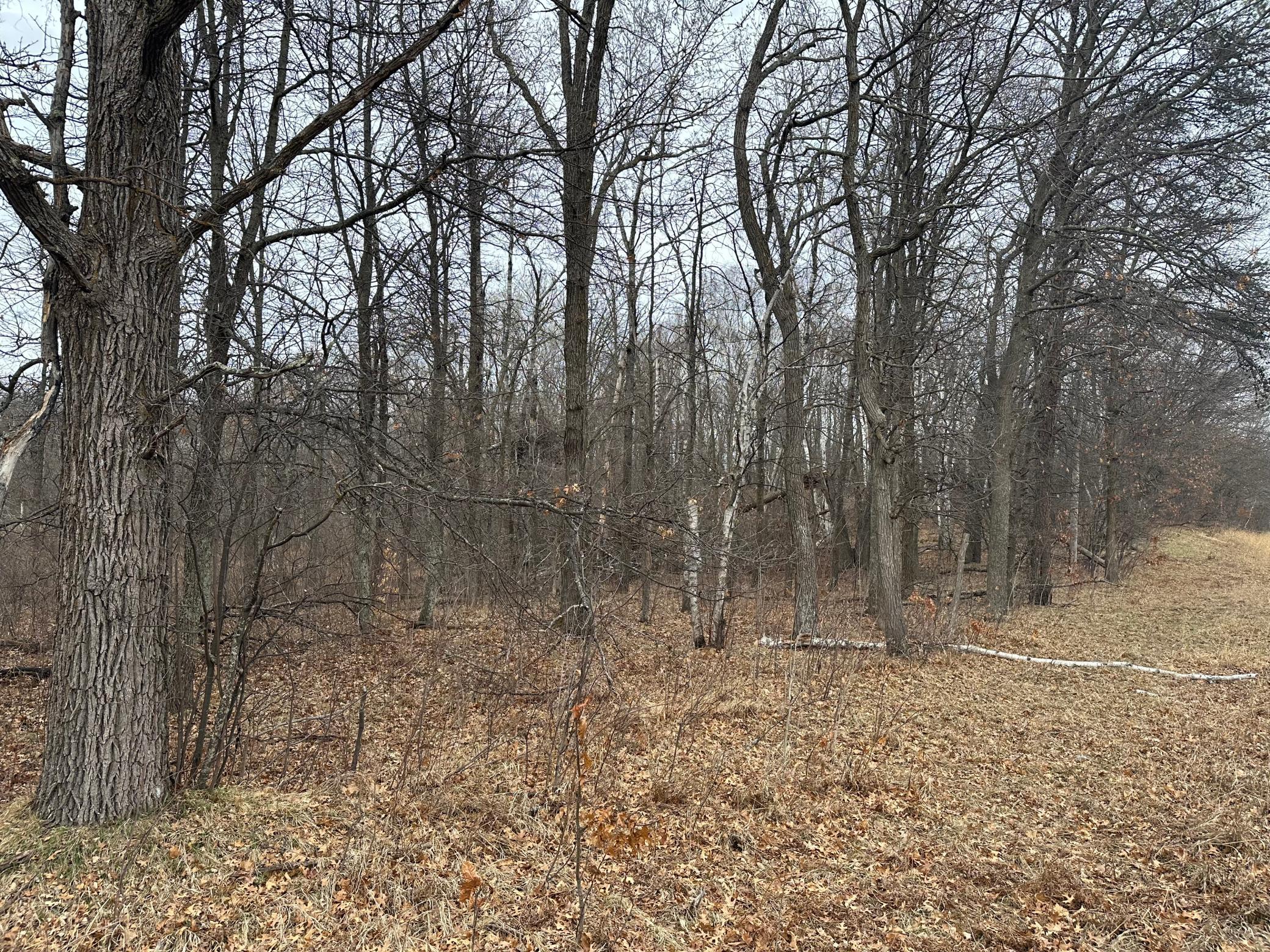 Lot 25 County Rd 11, Breezy Point MN 56472 - Photo 10 of 10