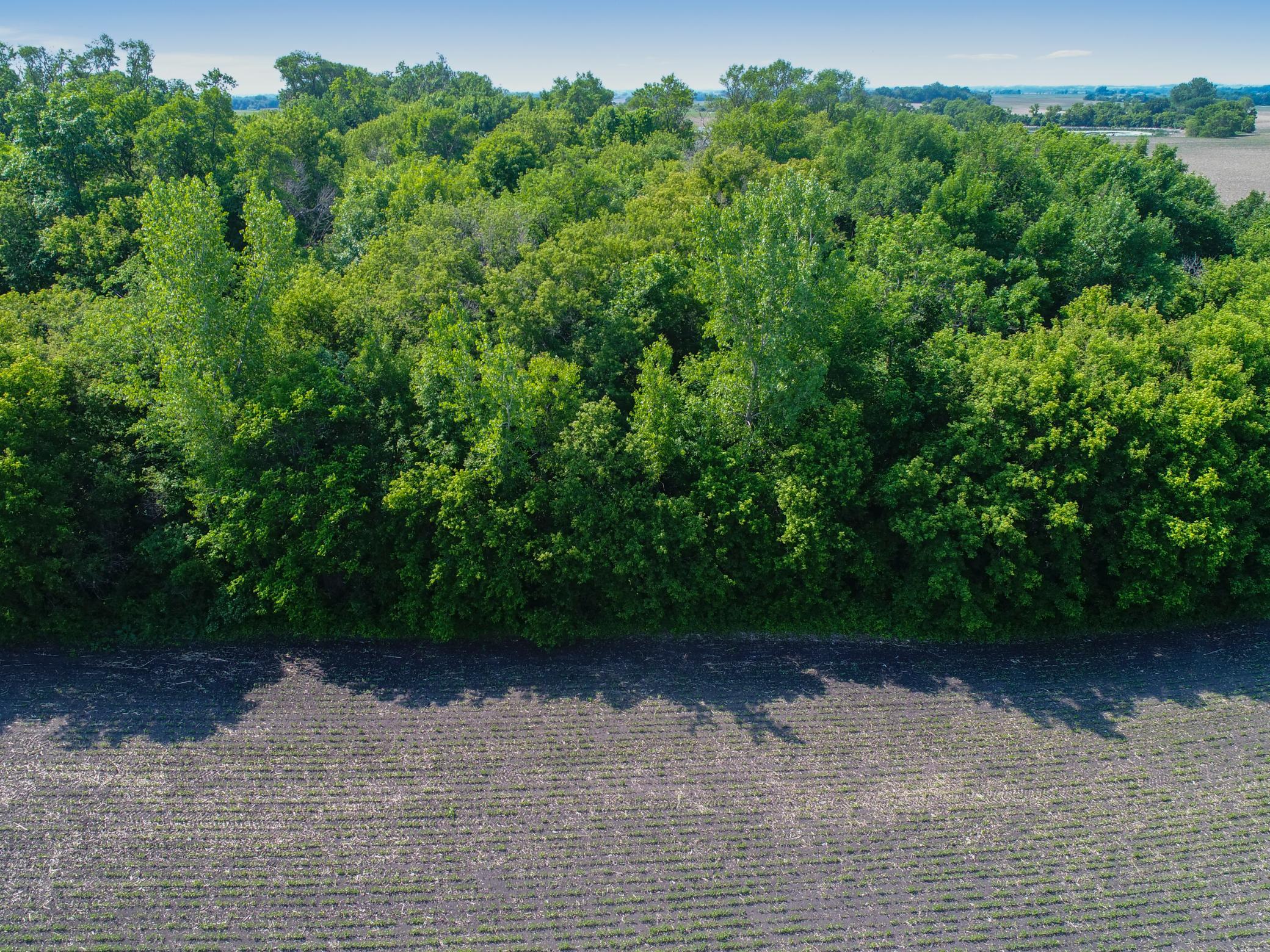 6580 Tower Road SW, Hoffman MN 56339 - Photo 79 of 82