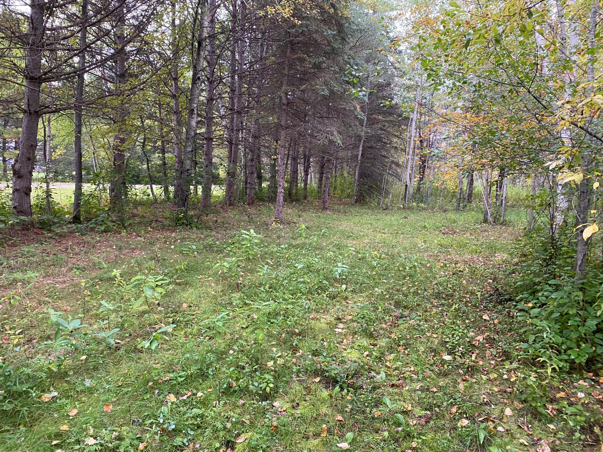 TBD LOT 13 Owl Avenue, Aitkin MN 56431 - Photo 2 of 3