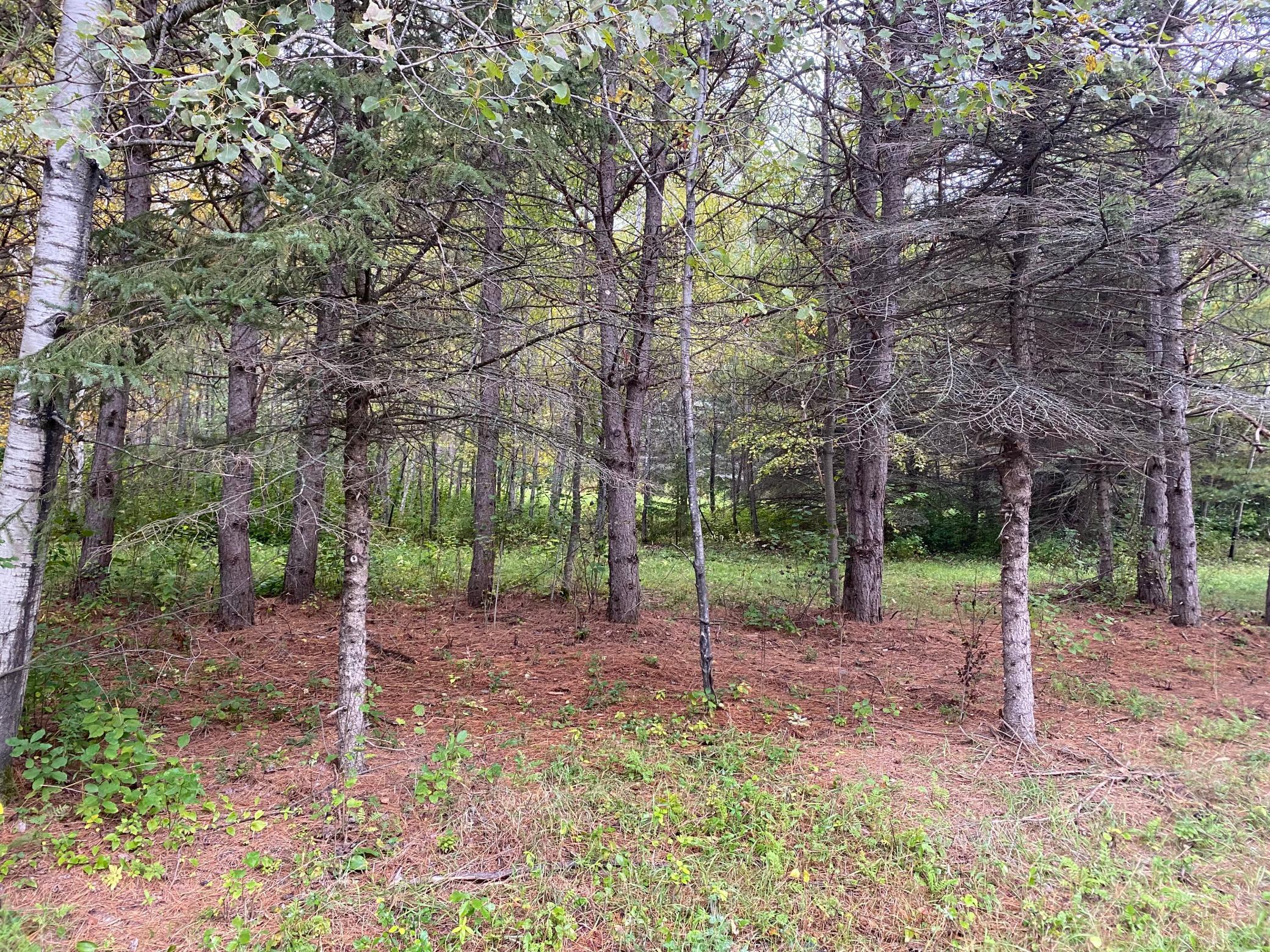 TBD LOT 13 Owl Avenue, Aitkin MN 56431 - Photo 3 of 3