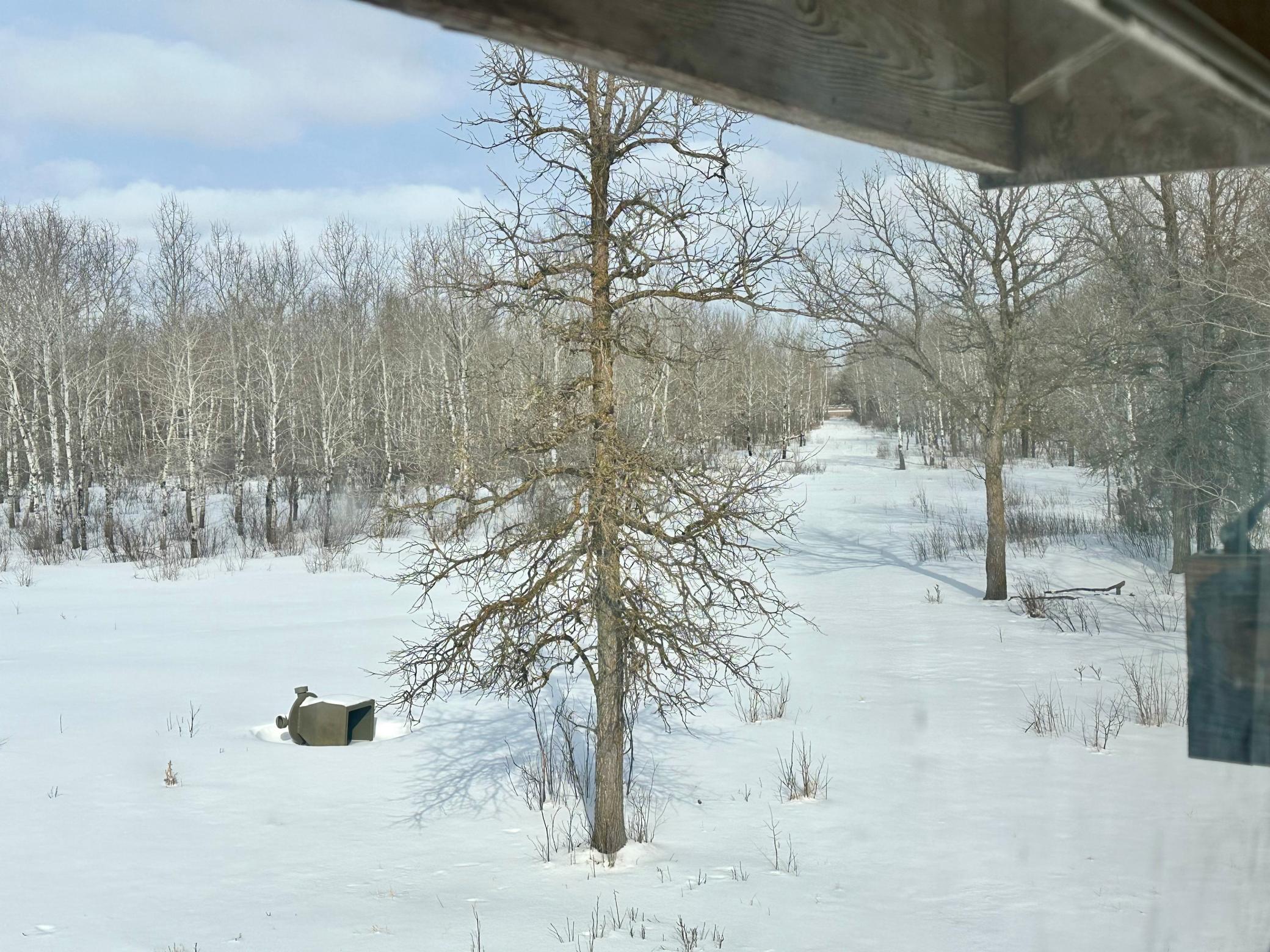 land for sale at TBD 355th Street in Lancaster, MN (photo 2 of 29)