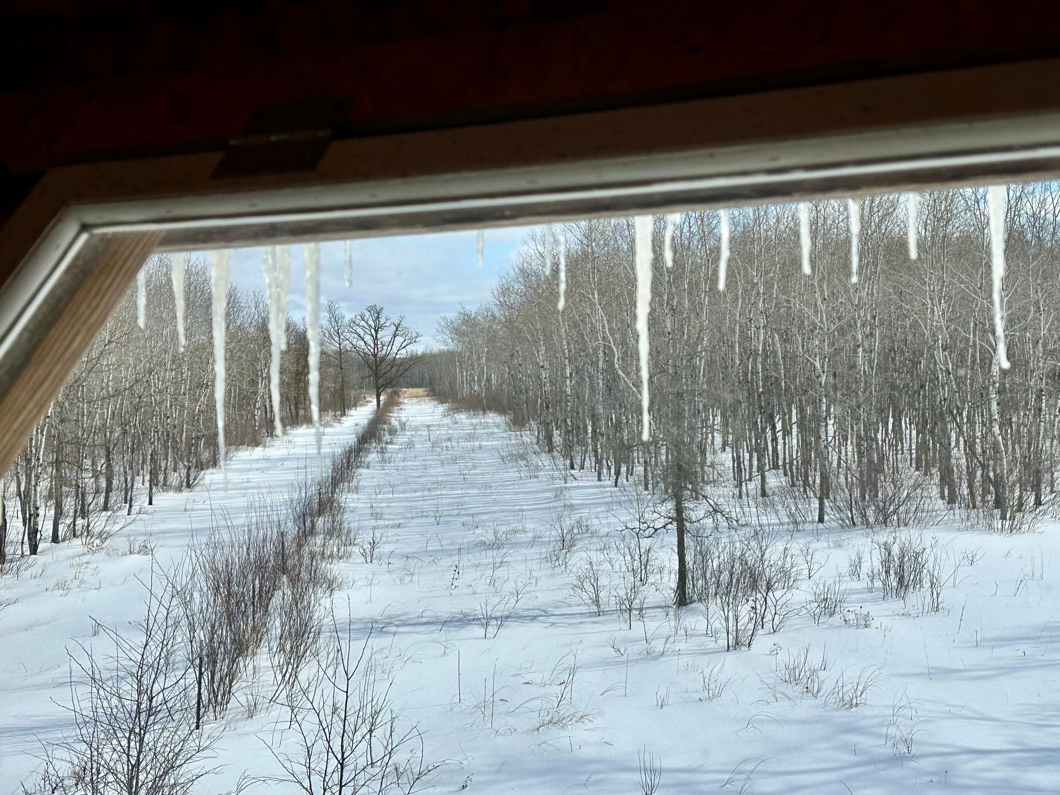 land for sale at TBD 355th Street in Lancaster, MN (photo 3 of 29)