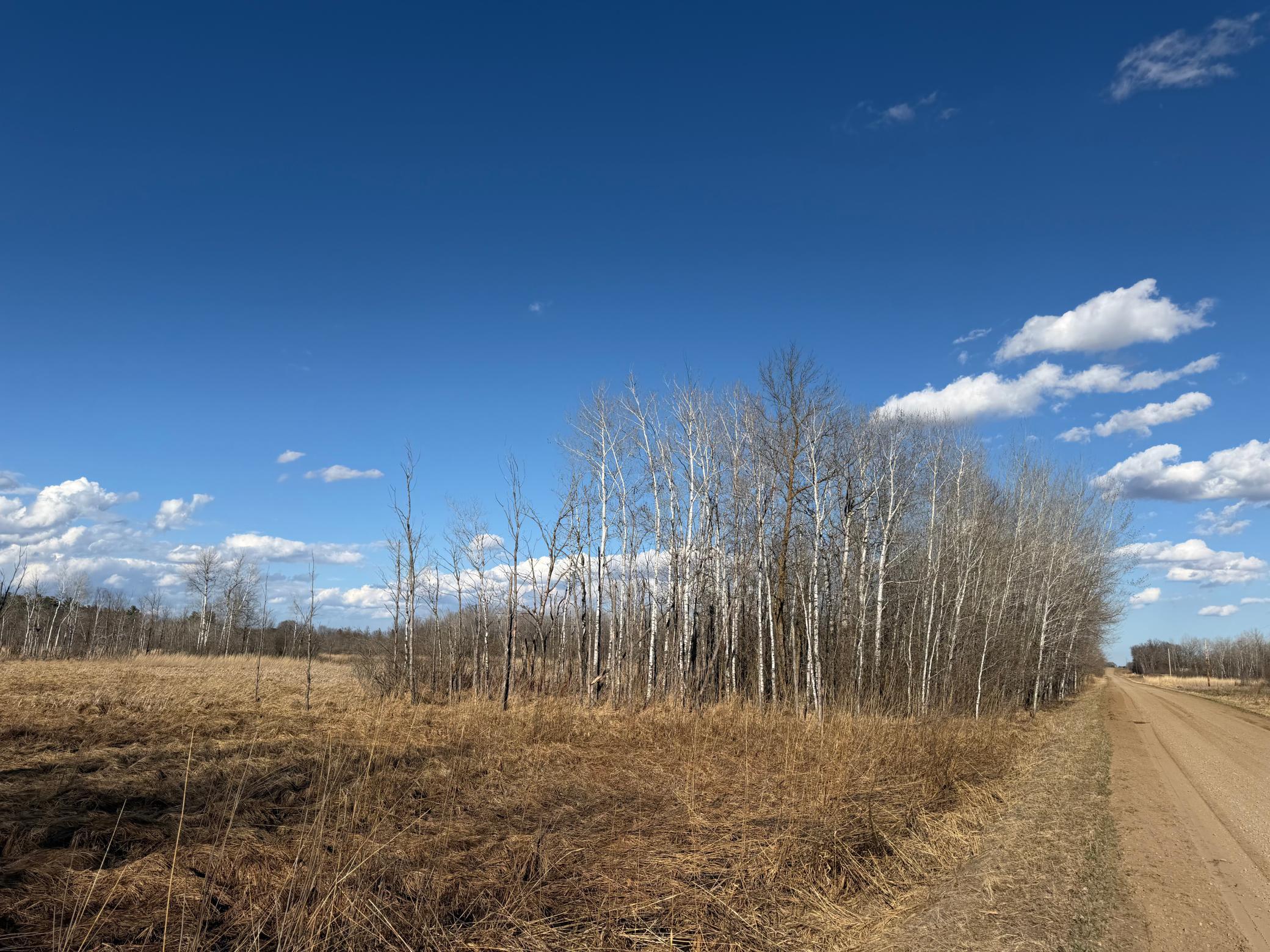 TBD 320th Street, Browerville MN 56438 - Photo 25 of 32