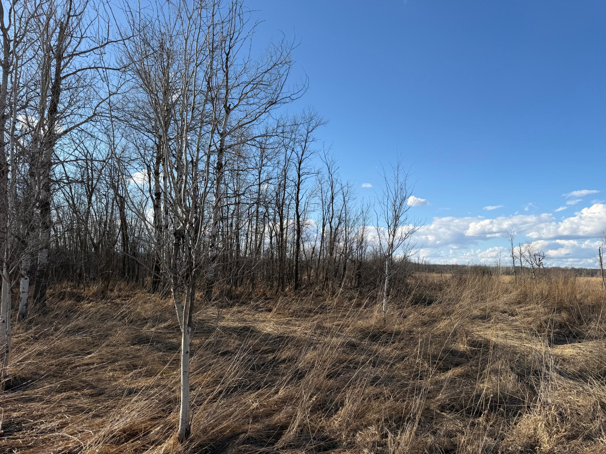 TBD 320th Street, Browerville MN 56438 - Photo 29 of 32