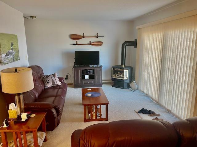 1993 condo for sale at 29464 422nd Avenue in Battle Lake, MN — 3 bed, 4 bath (photo 27 of 40)