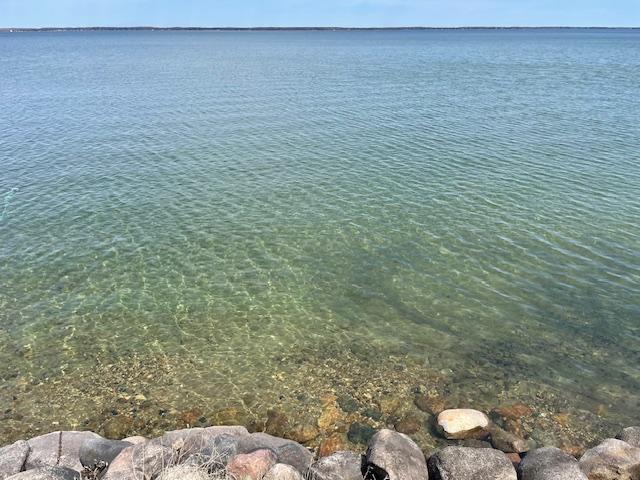 1993 condo for sale at 29464 422nd Avenue in Battle Lake, MN — 3 bed, 4 bath (photo 38 of 40)