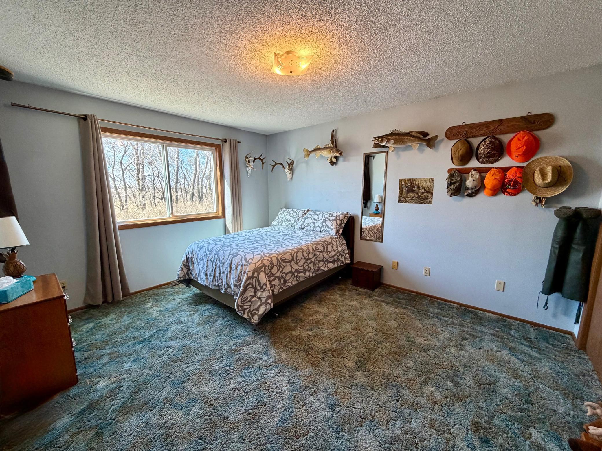 1983 single family home for sale at 4703 210th Street in Lake Bronson, MN — 3 bed, 2 bath (photo 20 of 30)