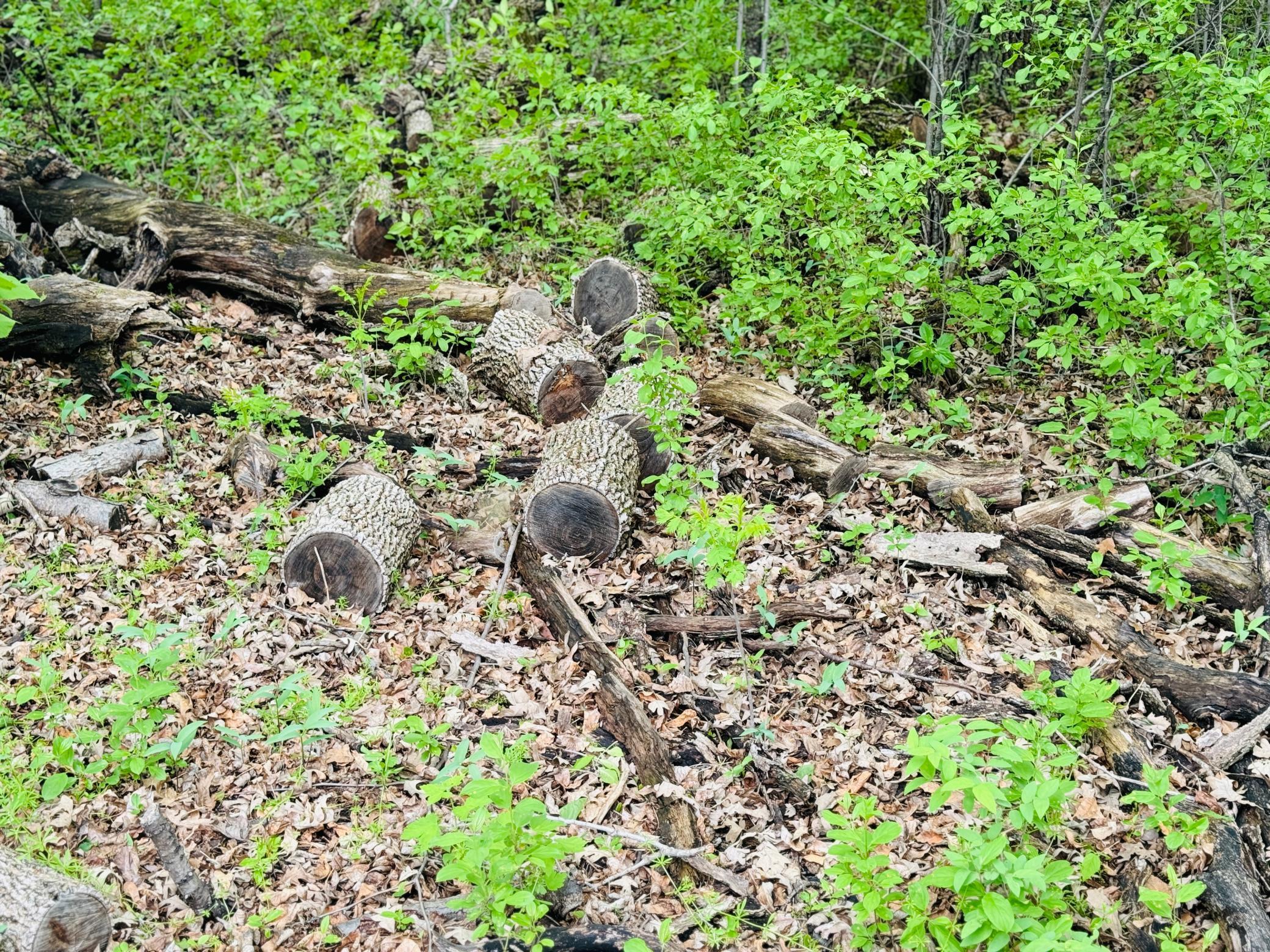 land for sale at Lot 3 Canterbury Sands Trail in Battle Lake, MN (photo 3 of 7)