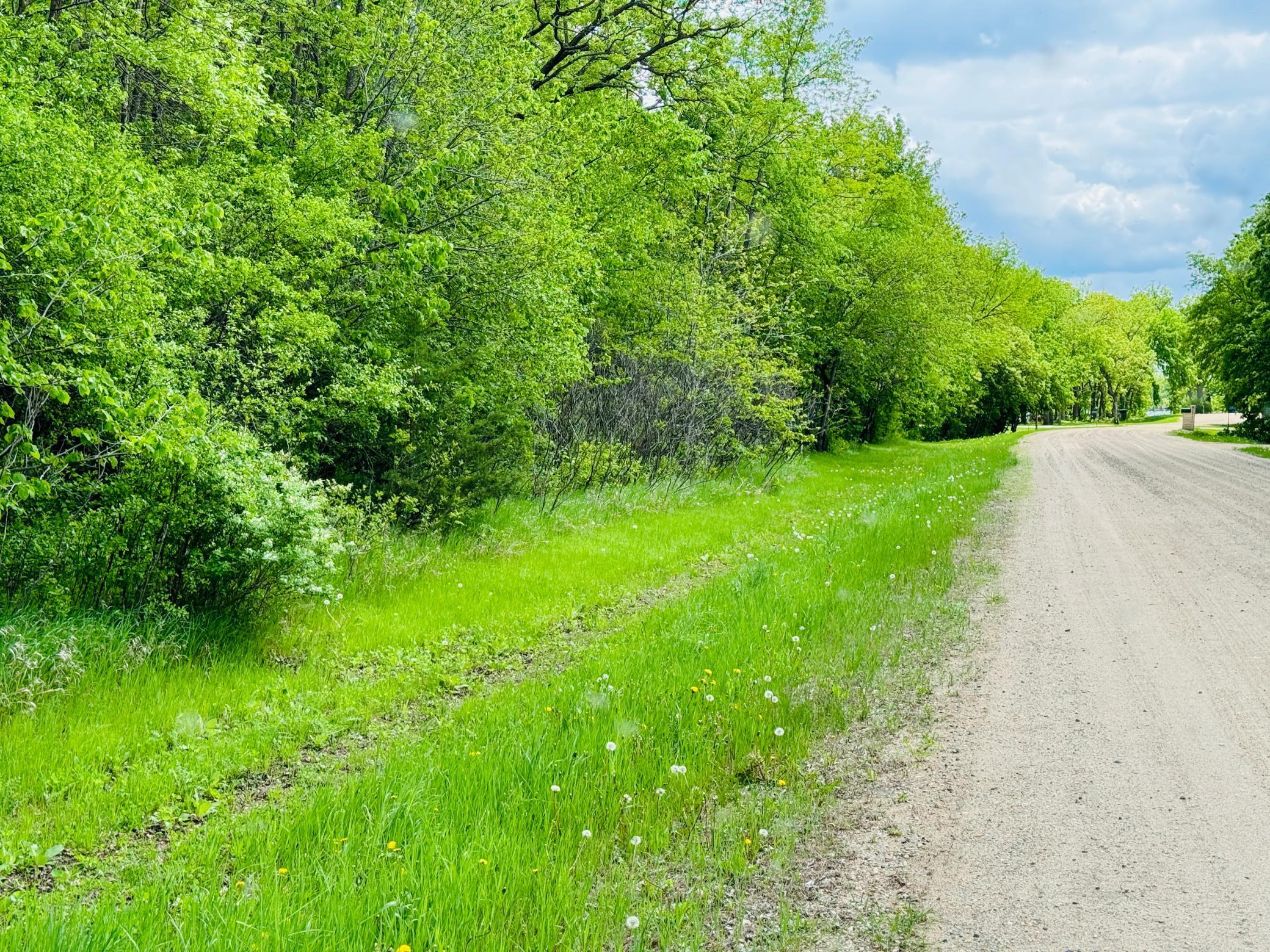 land for sale at Lot 3 Canterbury Sands Trail in Battle Lake, MN (photo 4 of 7)