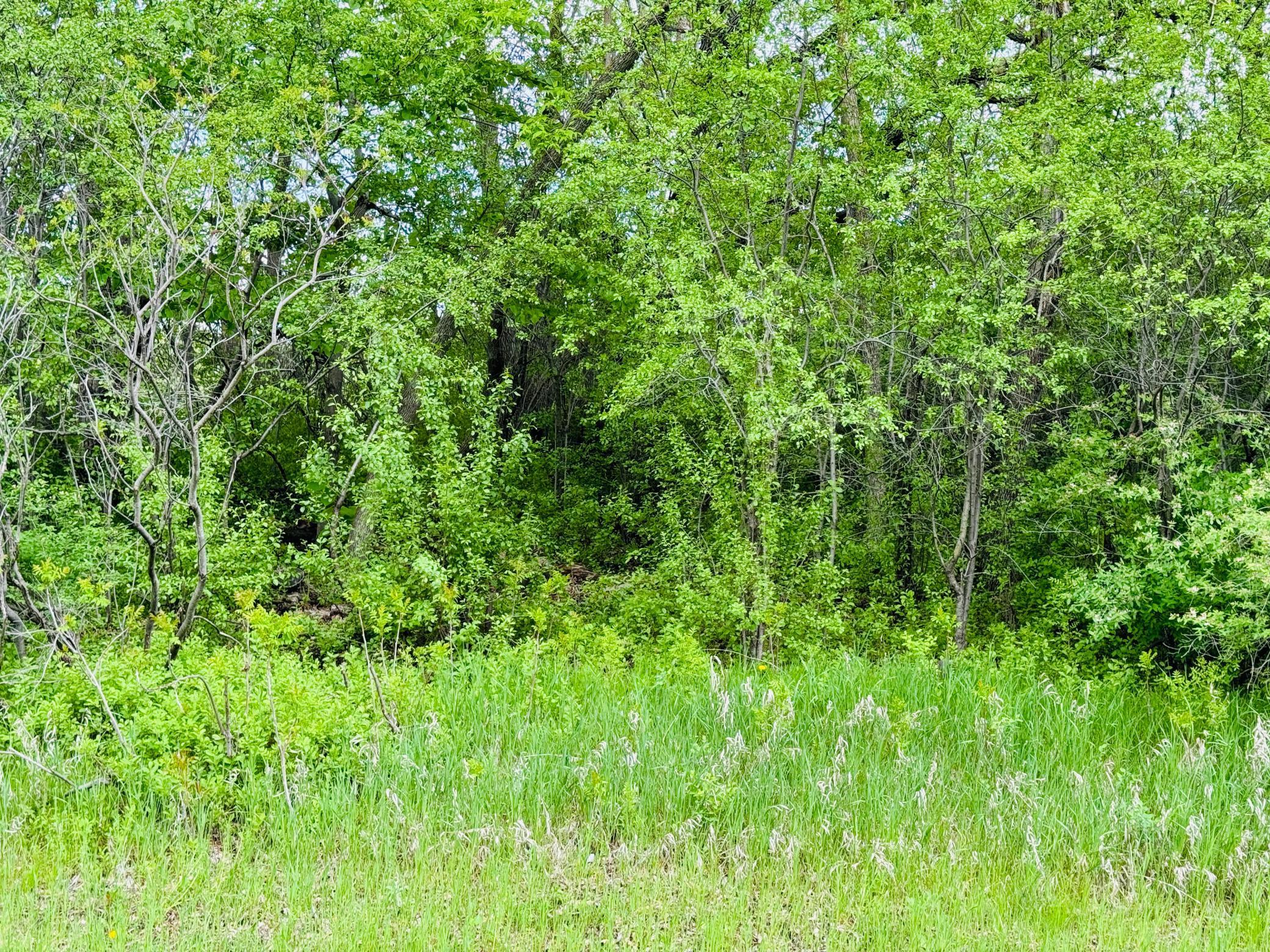 land for sale at Lot 3 Canterbury Sands Trail in Battle Lake, MN (photo 6 of 7)