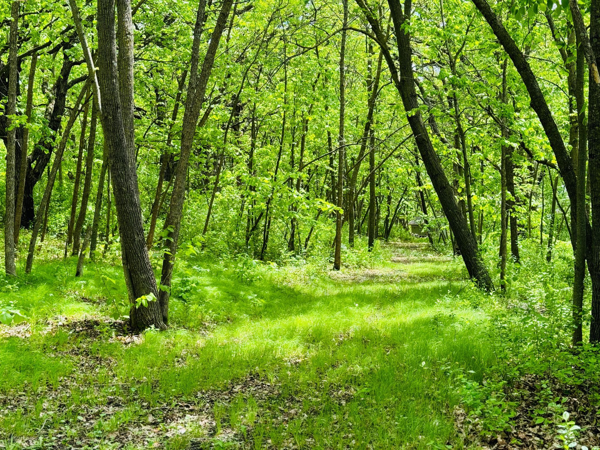 land for sale at Lot 4 Canterbury Sands Trail in Battle Lake, MN (photo 3 of 8)