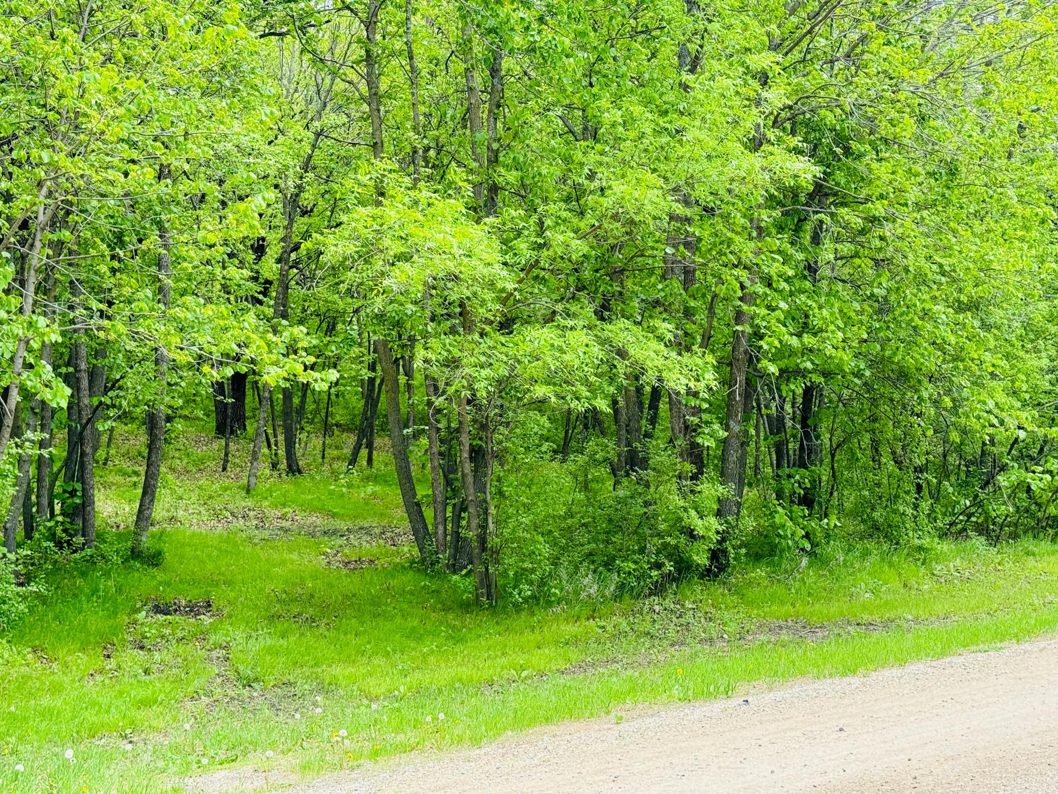 land for sale at Lot 4 Canterbury Sands Trail in Battle Lake, MN (photo 5 of 8)