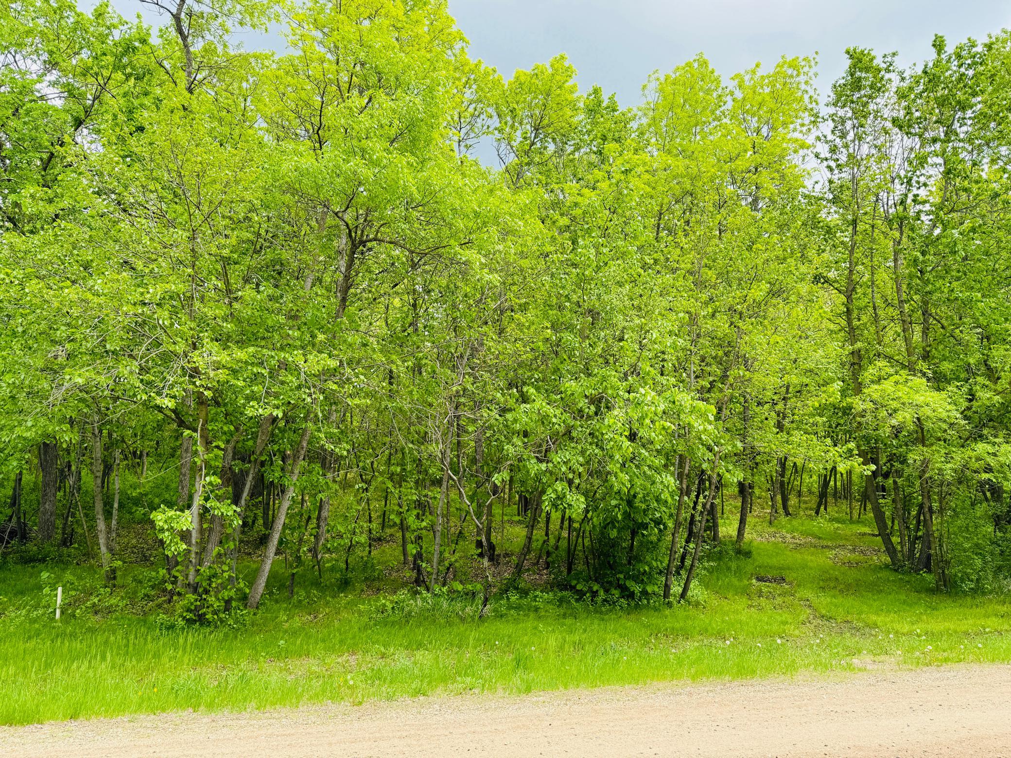 land for sale at Lot 4 Canterbury Sands Trail in Battle Lake, MN (photo 7 of 8)