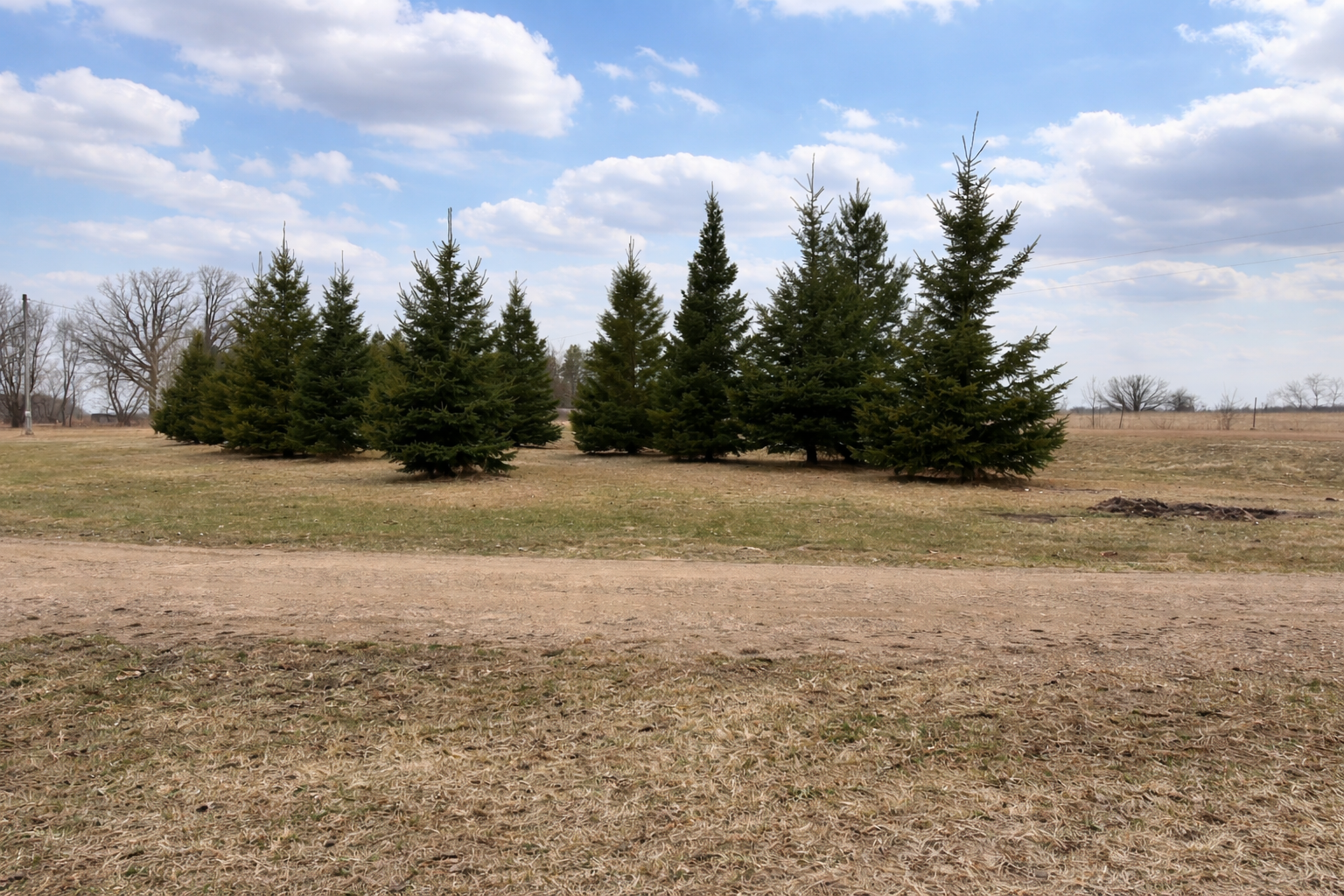 1995 land for sale at 62362 450th Street in Sebeka, MN (photo 12 of 13)