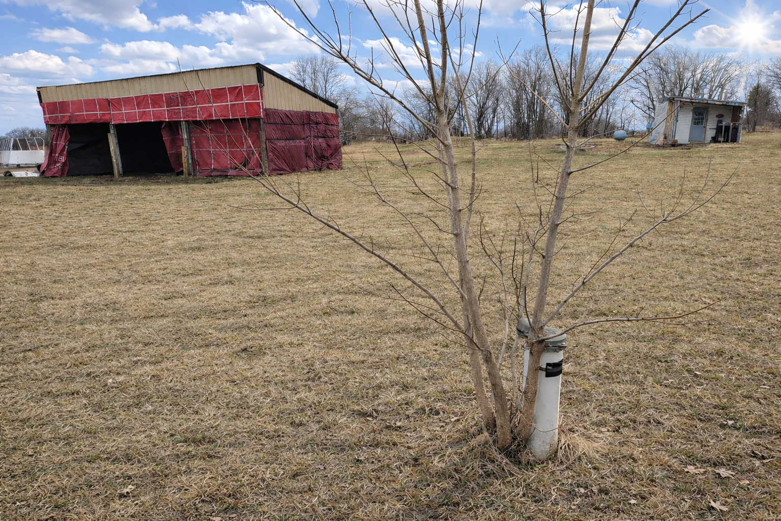 1995 land for sale at 62362 450th Street in Sebeka, MN (photo 3 of 13)