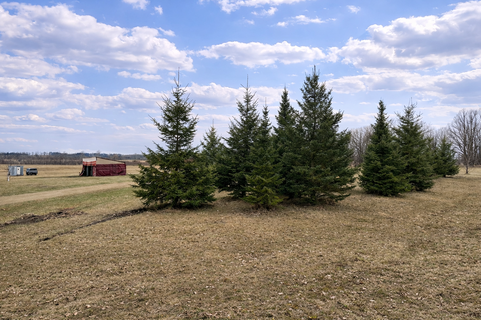 1995 land for sale at 62362 450th Street in Sebeka, MN (photo 8 of 13)