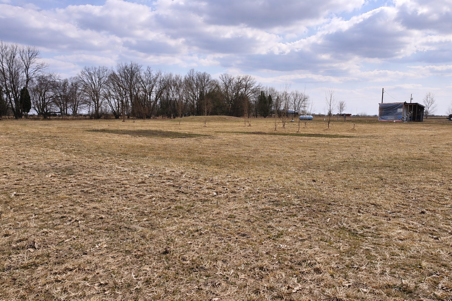 1995 land for sale at 62362 450th Street in Sebeka, MN (photo 9 of 13)