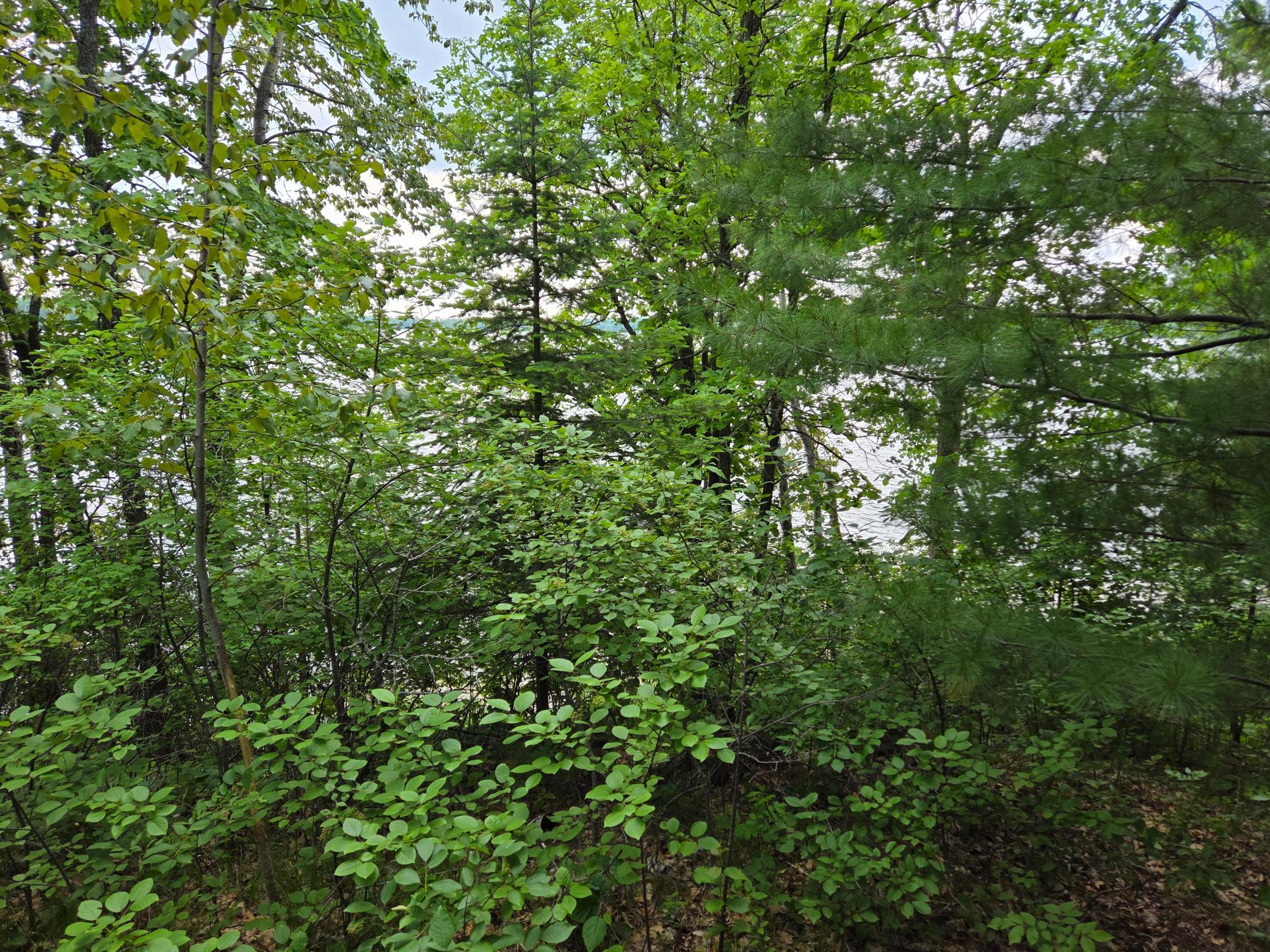 2017 single family home for sale at TBD Andrusia Road SE, Unit Lot 7, Block 1 in Cass Lake, MN — 0 bed, 0 bath (photo 14 of 15)