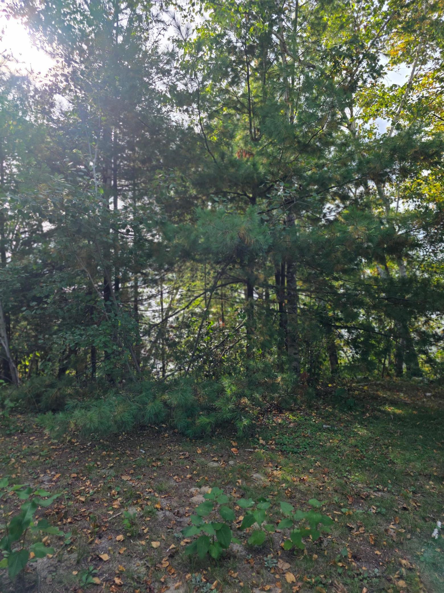 2017 single family home for sale at TBD Andrusia Road SE, Unit Lot 7, Block 1 in Cass Lake, MN — 0 bed, 0 bath (photo 15 of 15)
