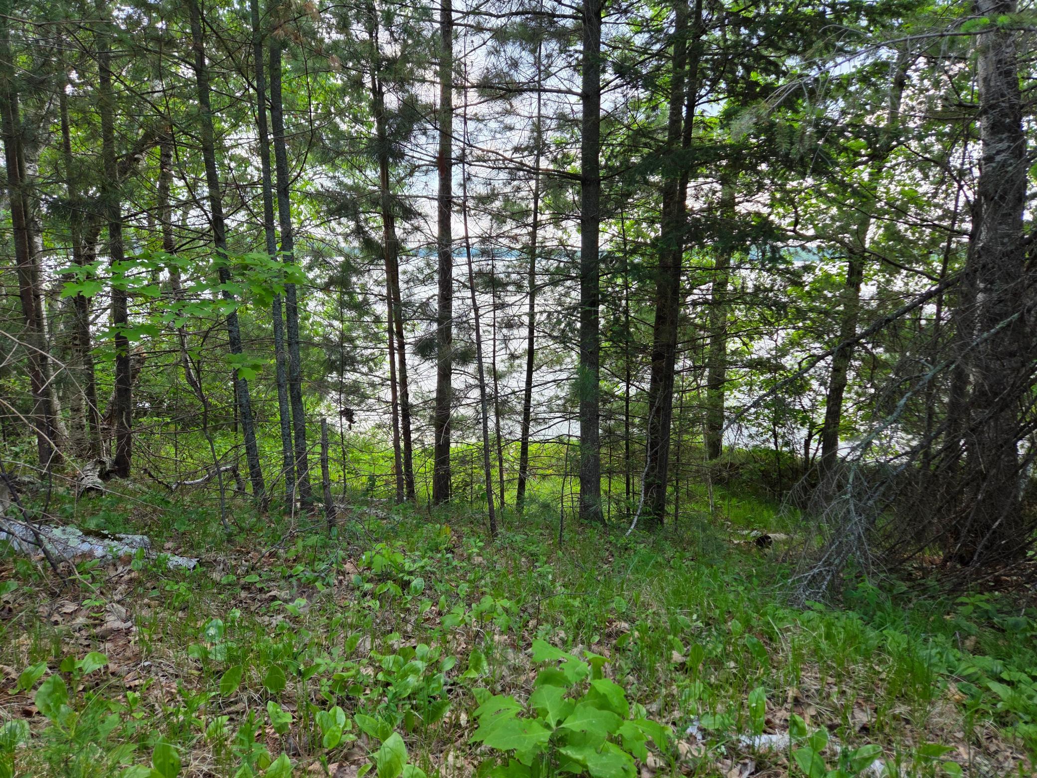 2017 single family home for sale at TBD Andrusia Road SE, Unit Lot 7, Block 1 in Cass Lake, MN — 0 bed, 0 bath (photo 8 of 15)
