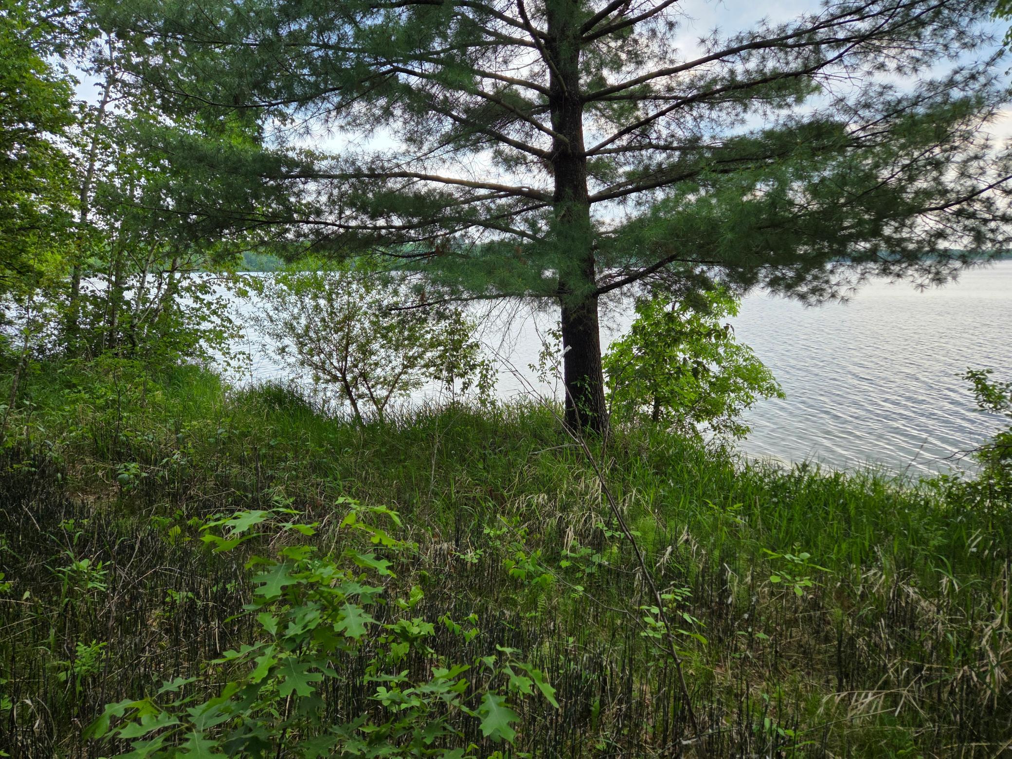 2017 single family home for sale at TBD Andrusia Road SE, Unit Lot 7, Block 1 in Cass Lake, MN — 0 bed, 0 bath (photo 9 of 15)